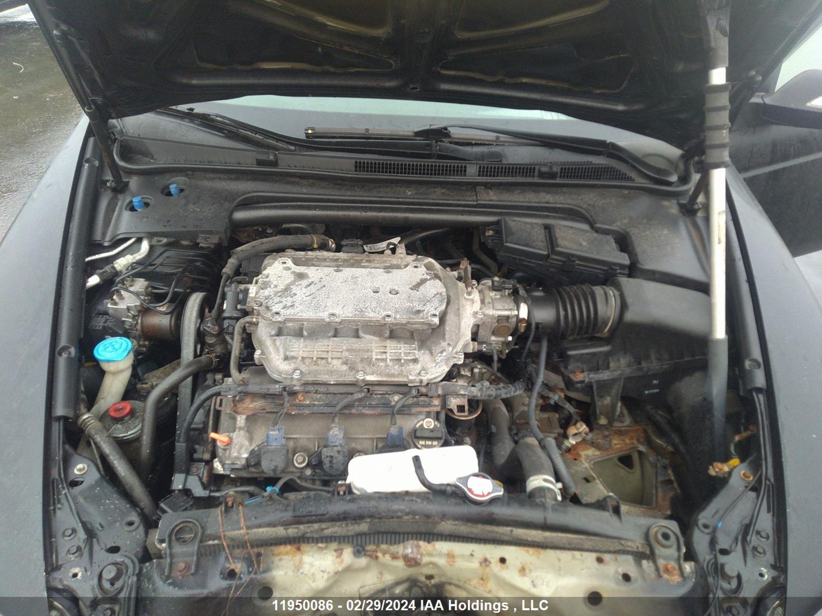 Photo 9 VIN: 19UUA66217A800225 - ACURA TL 