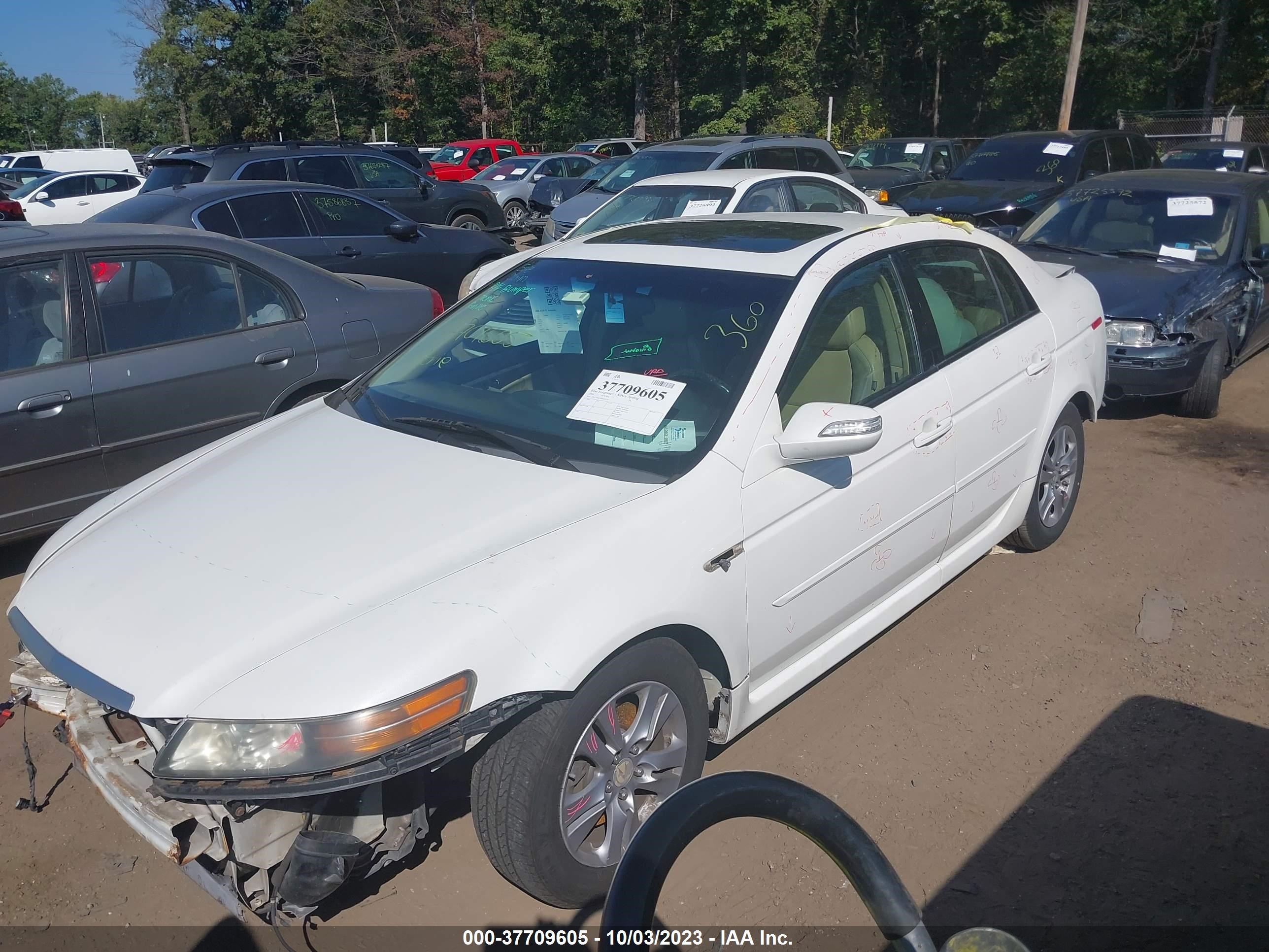 Photo 1 VIN: 19UUA66218A028519 - ACURA TL 