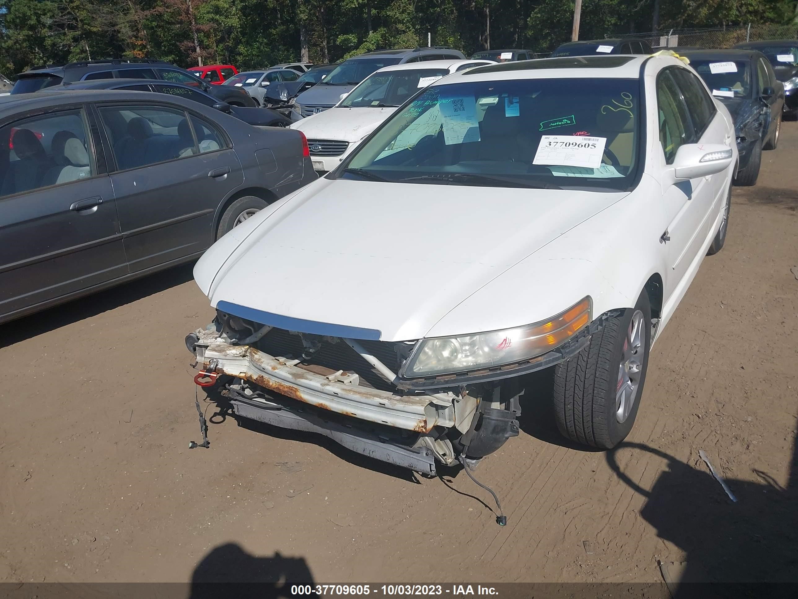 Photo 5 VIN: 19UUA66218A028519 - ACURA TL 