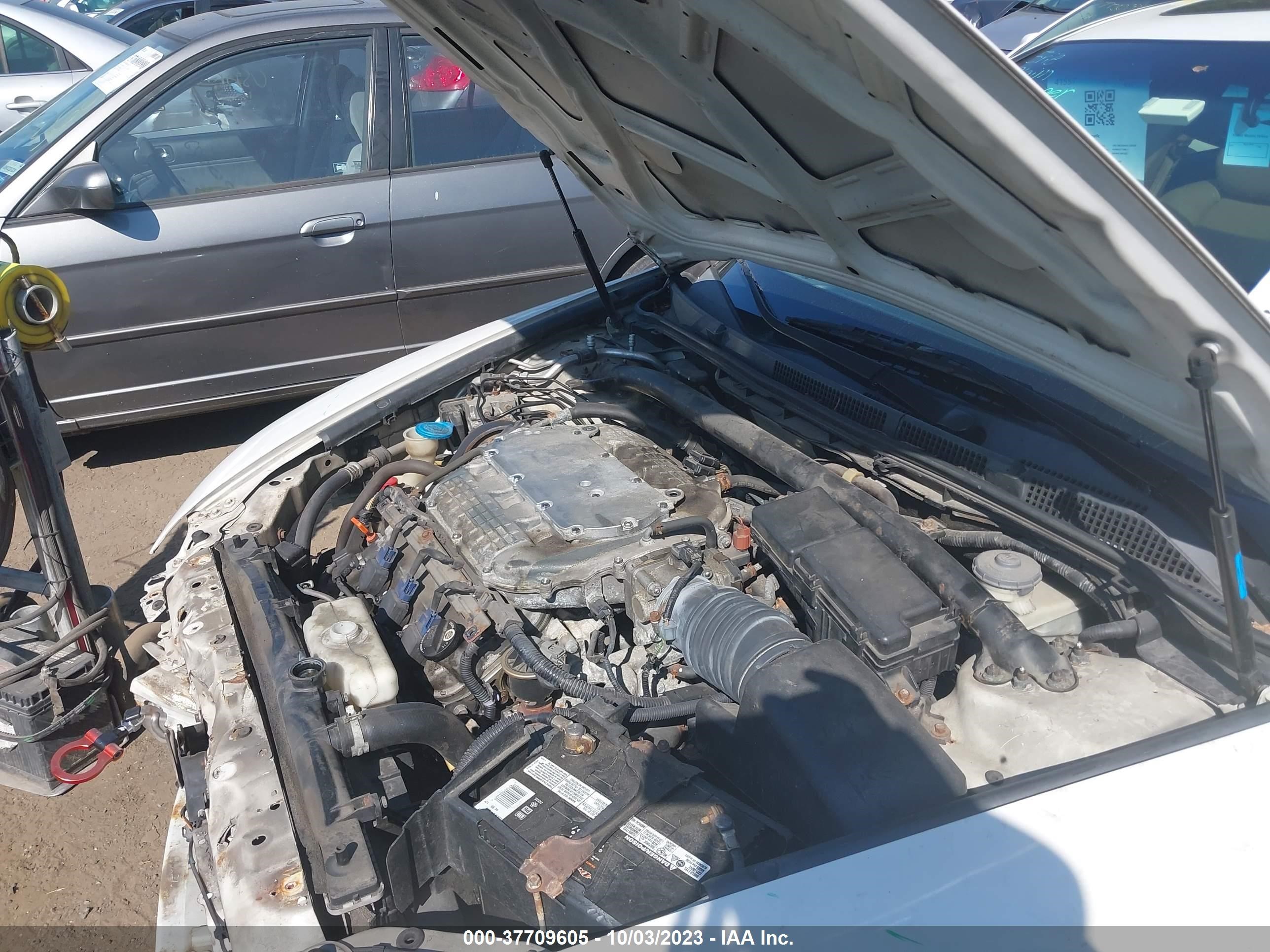 Photo 9 VIN: 19UUA66218A028519 - ACURA TL 