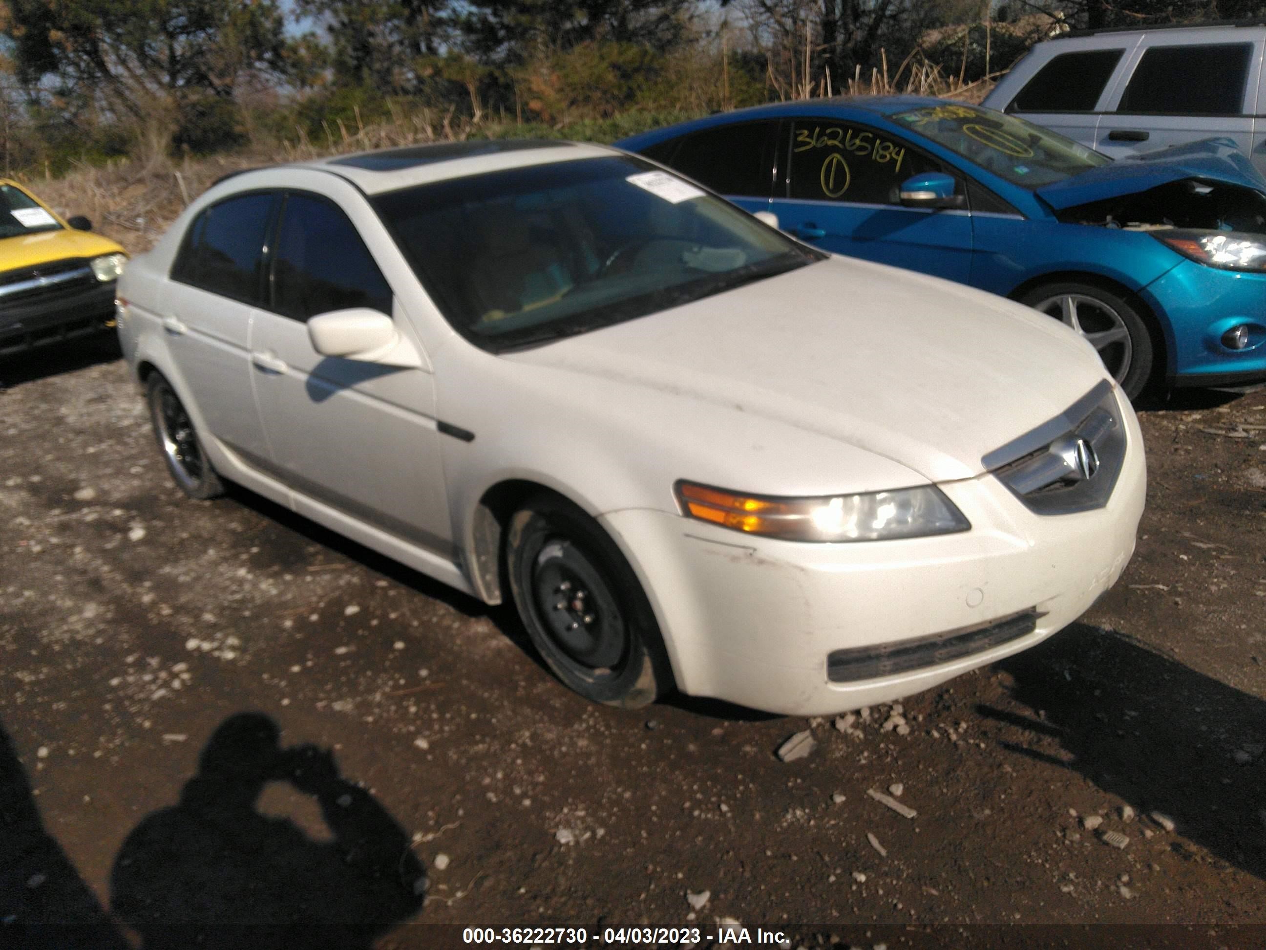 Photo 1 VIN: 19UUA66225A012325 - ACURA TL 