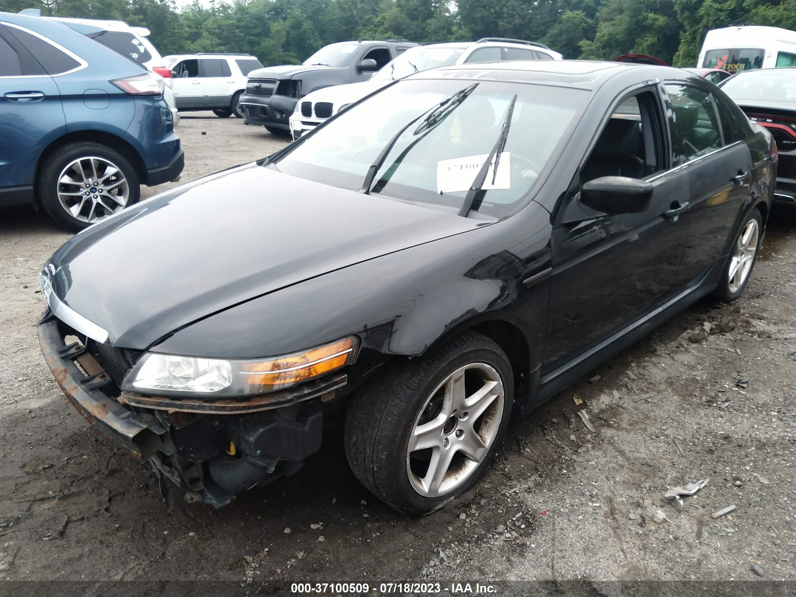 Photo 1 VIN: 19UUA66225A017394 - ACURA TL 