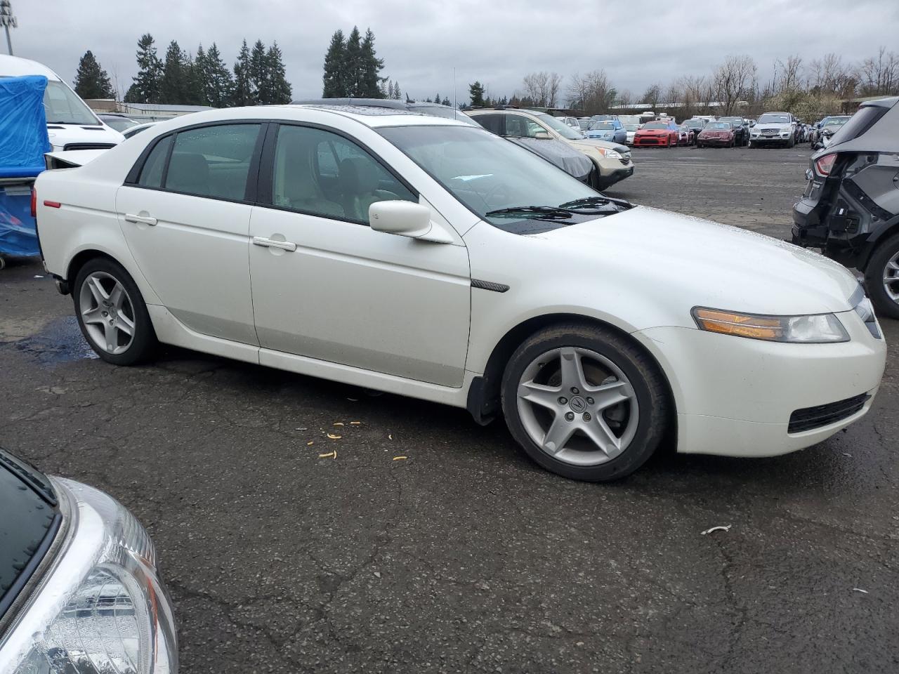 Photo 3 VIN: 19UUA66225A029657 - ACURA TL 