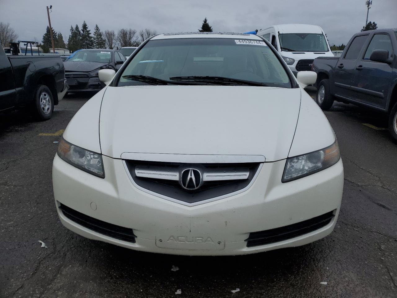 Photo 4 VIN: 19UUA66225A029657 - ACURA TL 