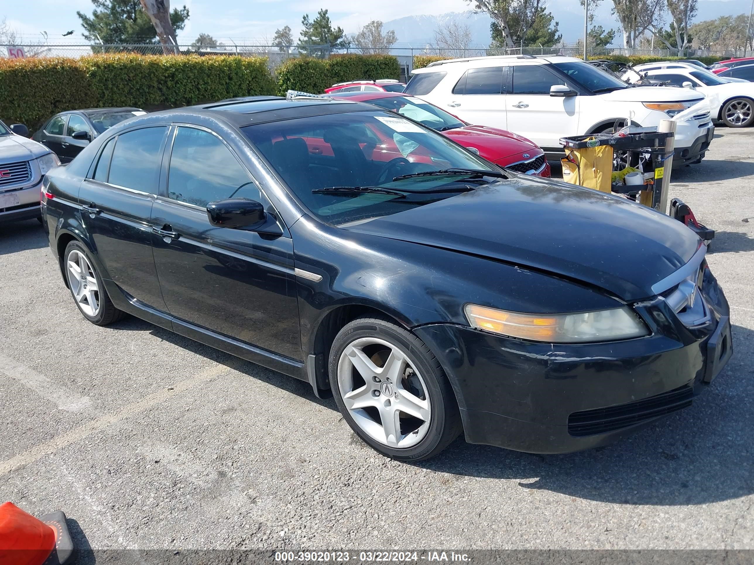 Photo 0 VIN: 19UUA66225A033515 - ACURA TL 