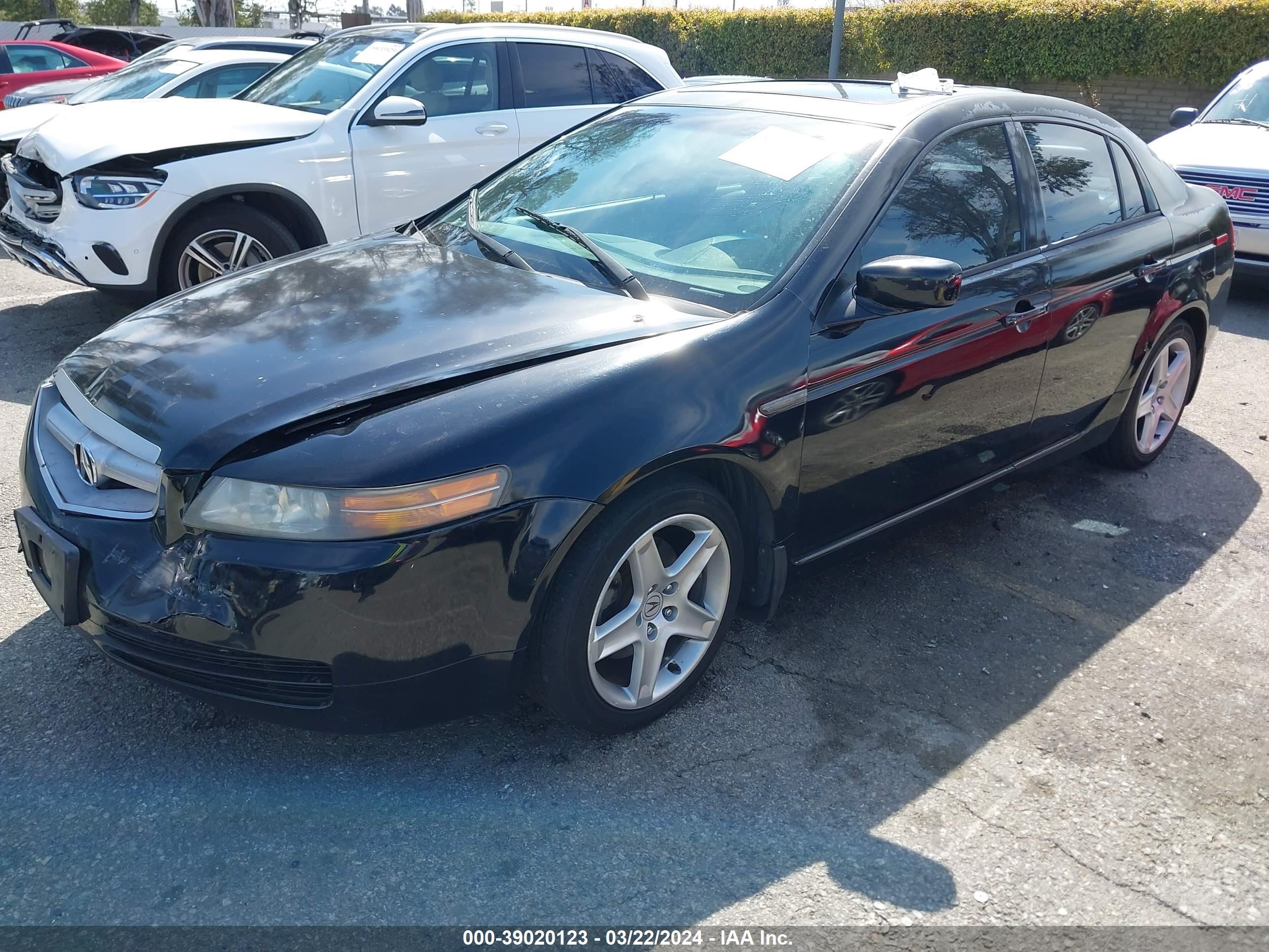 Photo 1 VIN: 19UUA66225A033515 - ACURA TL 