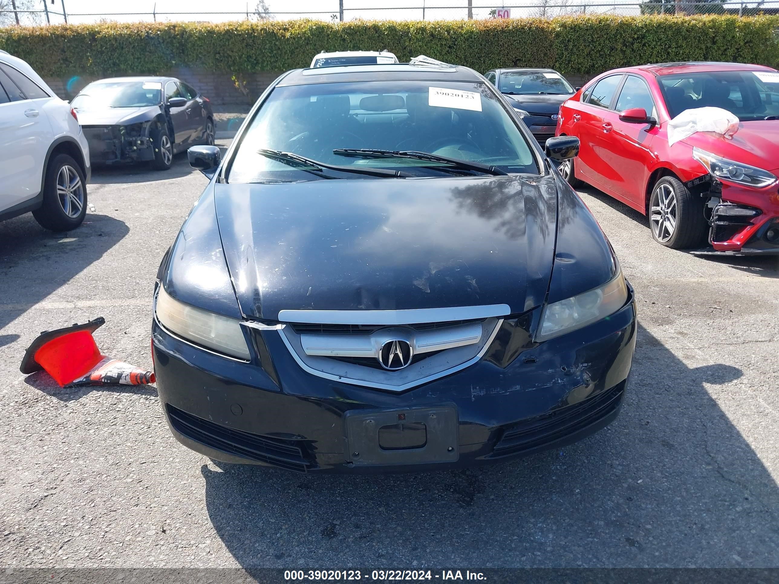 Photo 11 VIN: 19UUA66225A033515 - ACURA TL 