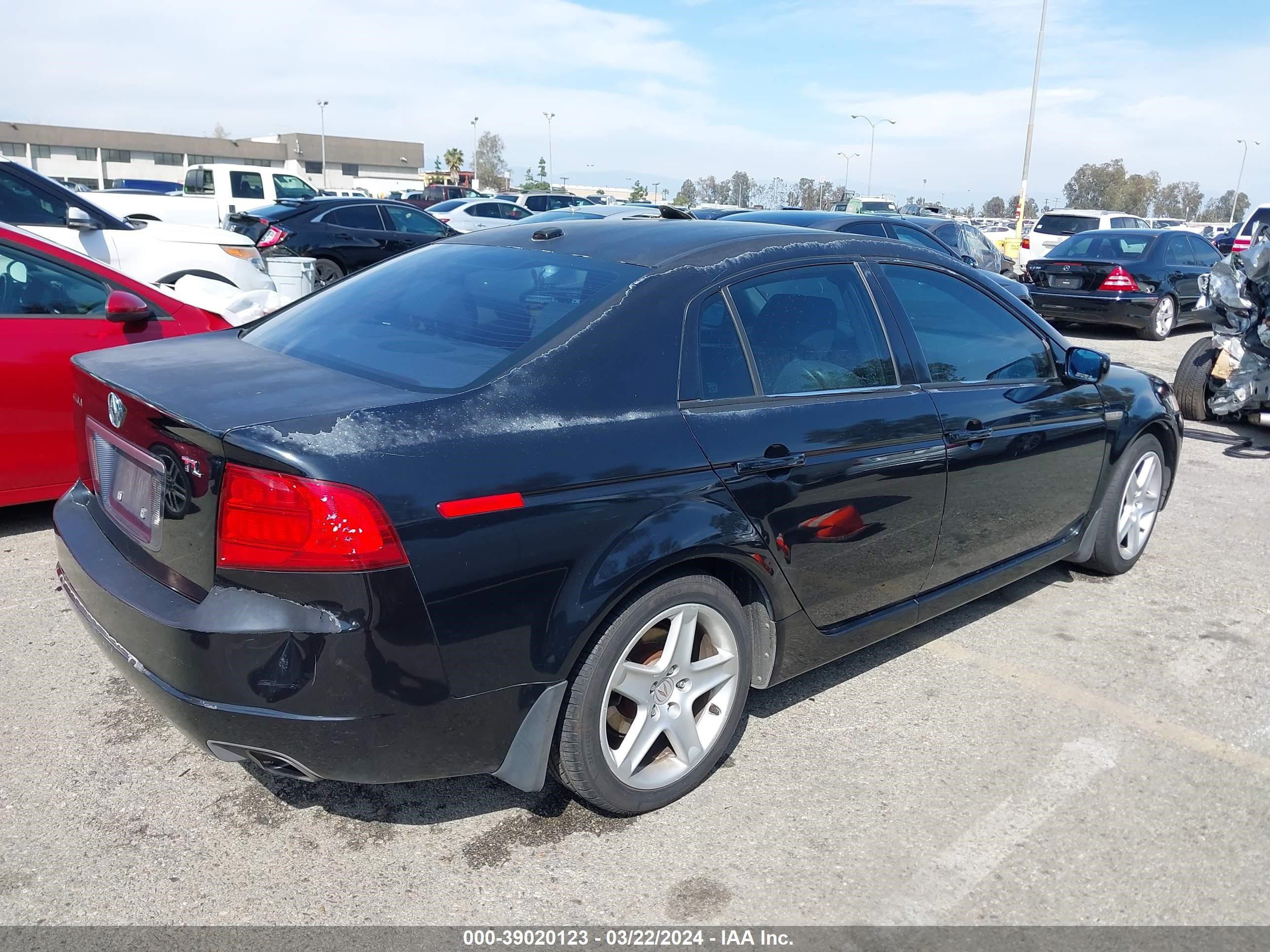 Photo 3 VIN: 19UUA66225A033515 - ACURA TL 