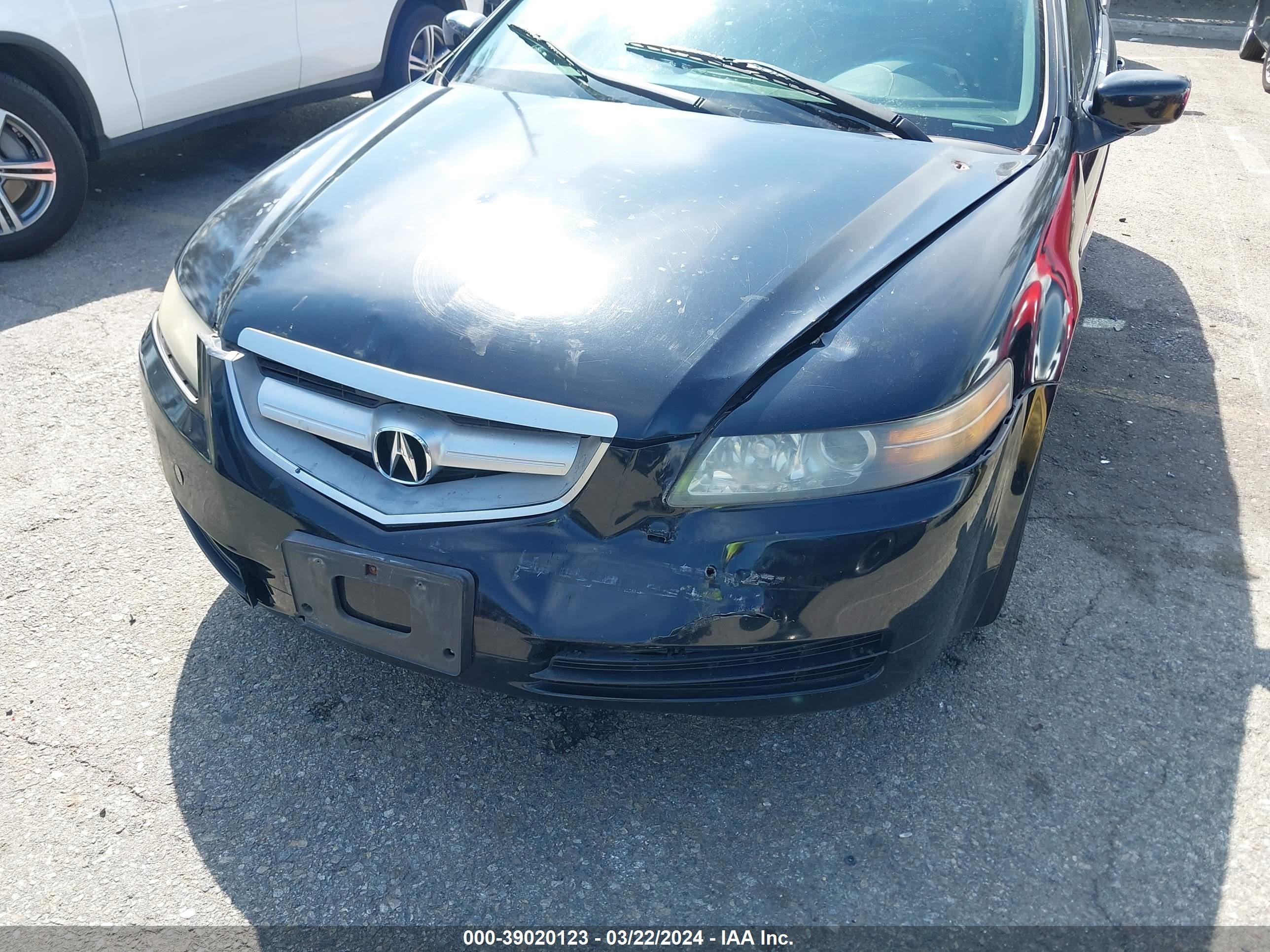 Photo 5 VIN: 19UUA66225A033515 - ACURA TL 