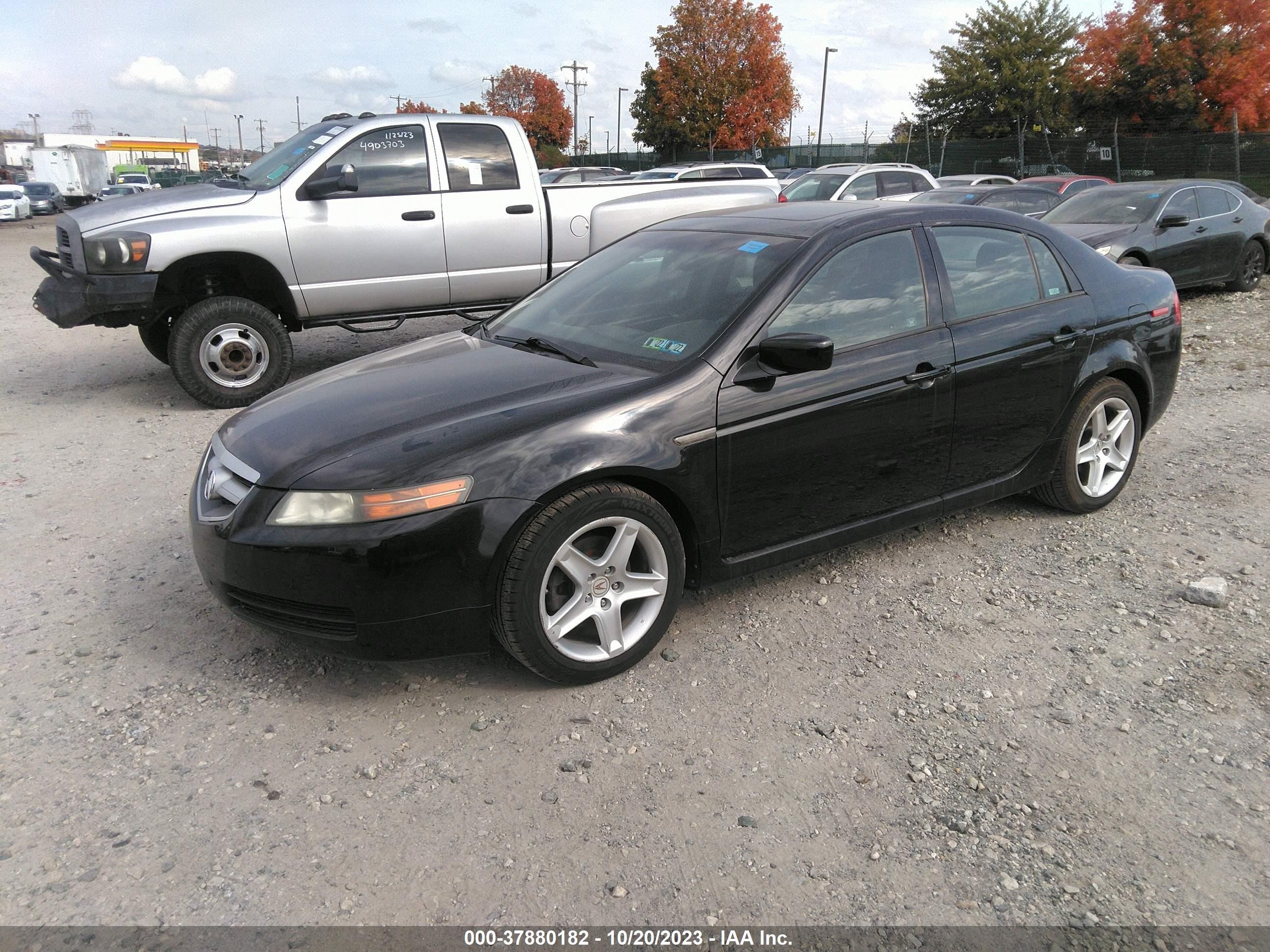 Photo 1 VIN: 19UUA66226A075099 - ACURA TL 