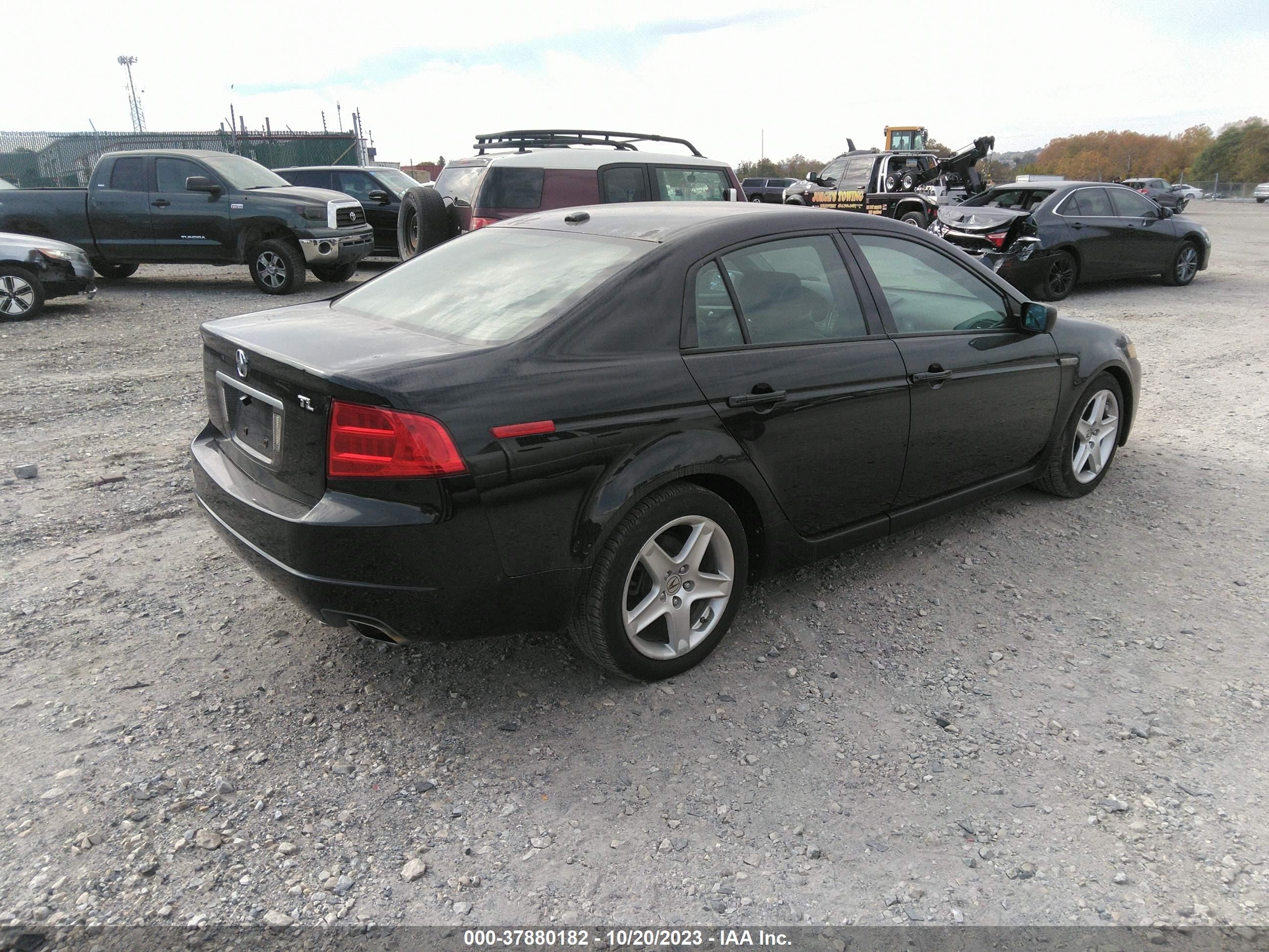 Photo 3 VIN: 19UUA66226A075099 - ACURA TL 