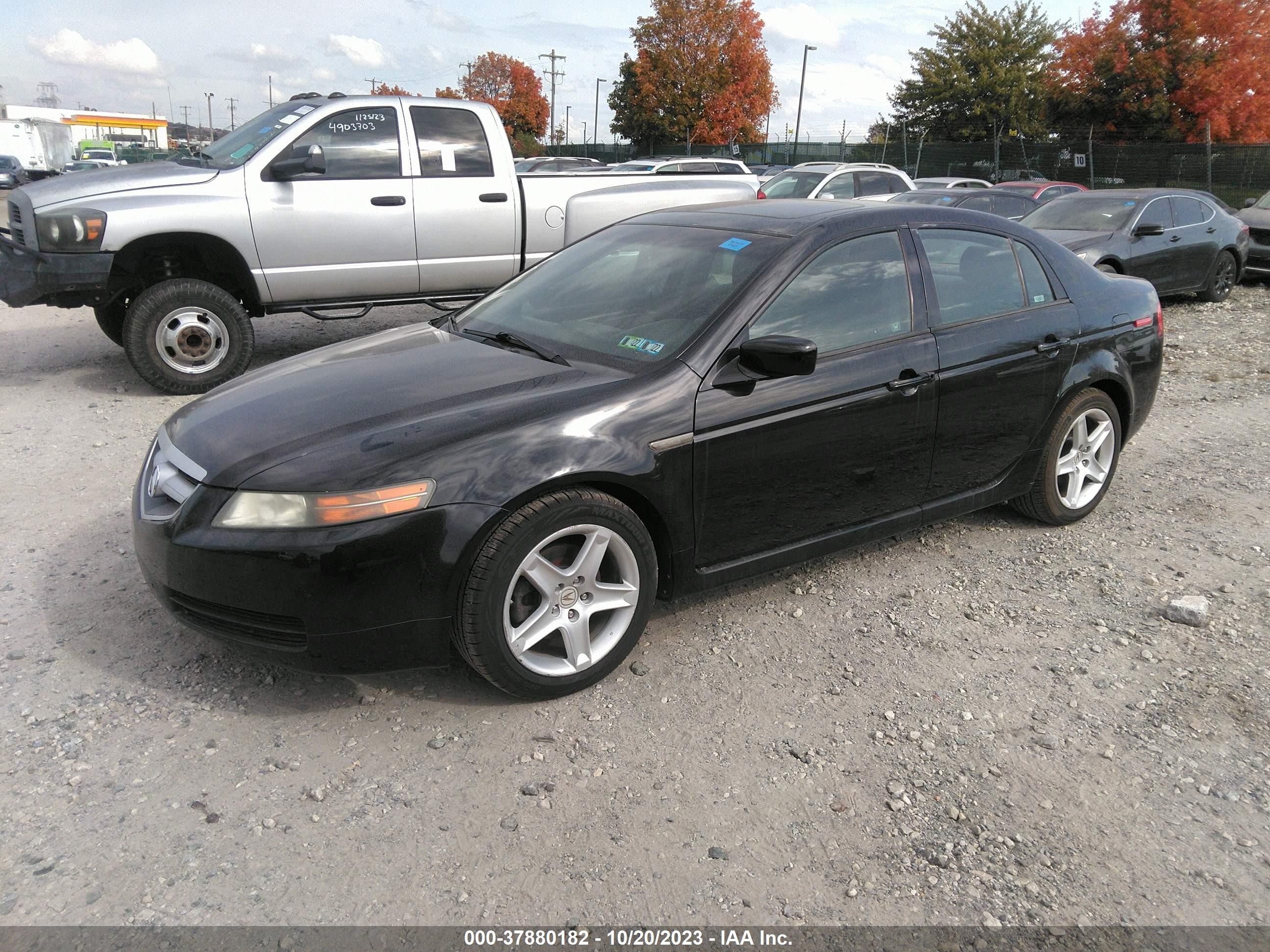 Photo 5 VIN: 19UUA66226A075099 - ACURA TL 