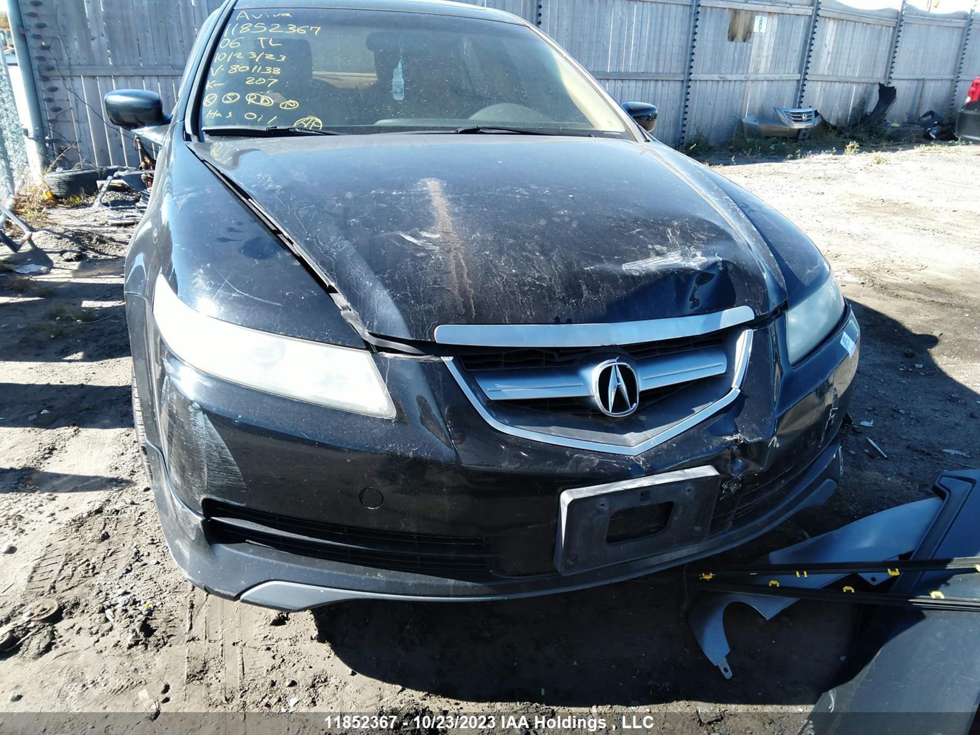 Photo 5 VIN: 19UUA66226A801138 - ACURA TL 