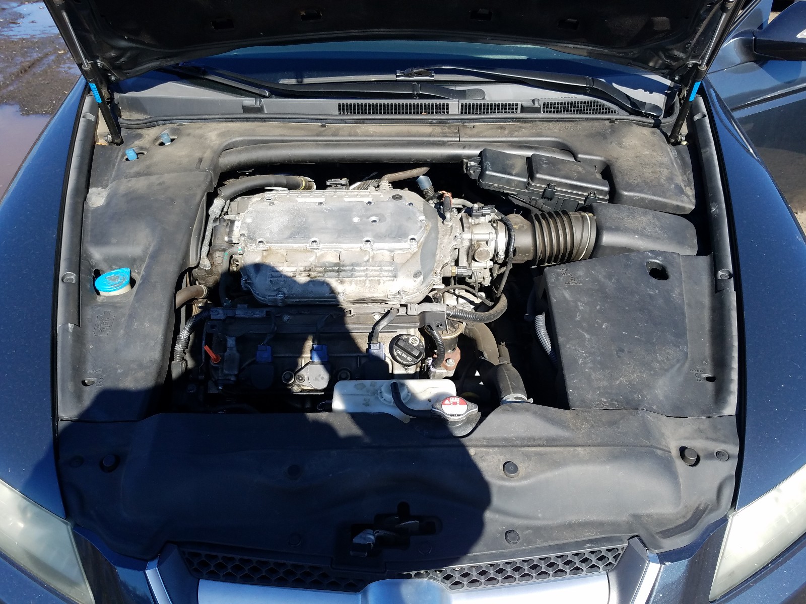 Photo 6 VIN: 19UUA66227A044484 - ACURA TL 