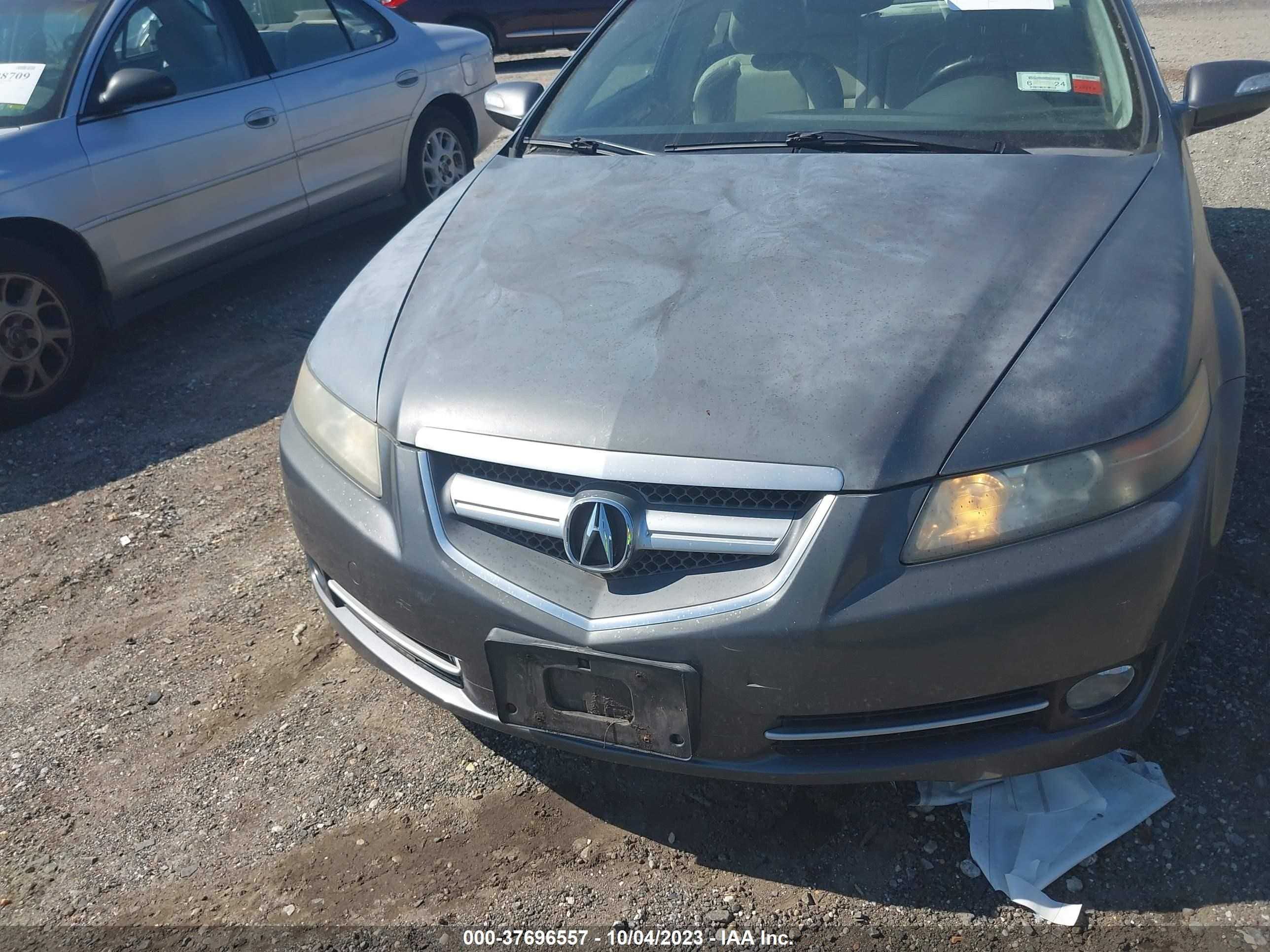 Photo 11 VIN: 19UUA66228A049203 - ACURA TL 