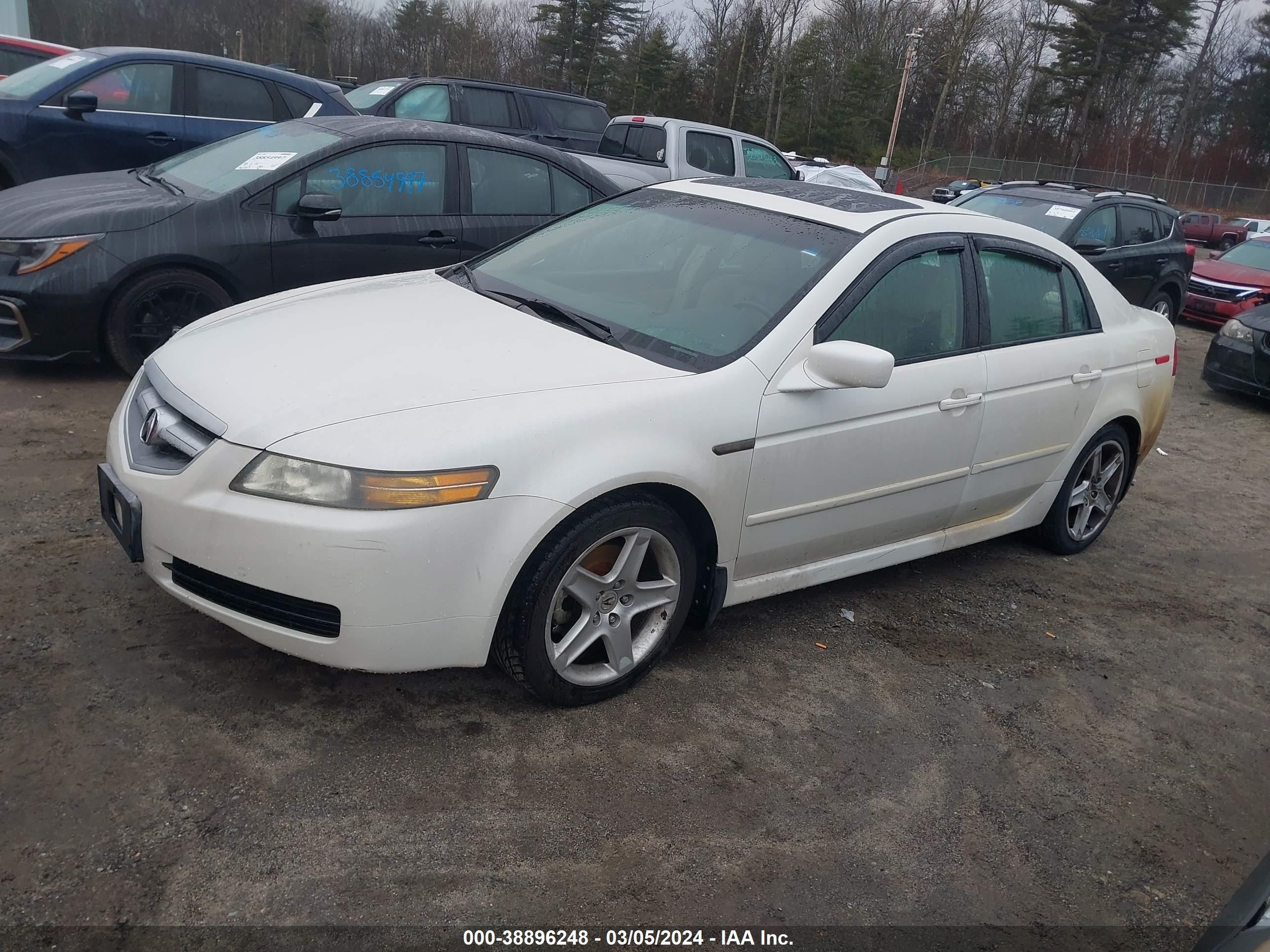 Photo 1 VIN: 19UUA66234A032081 - ACURA TL 