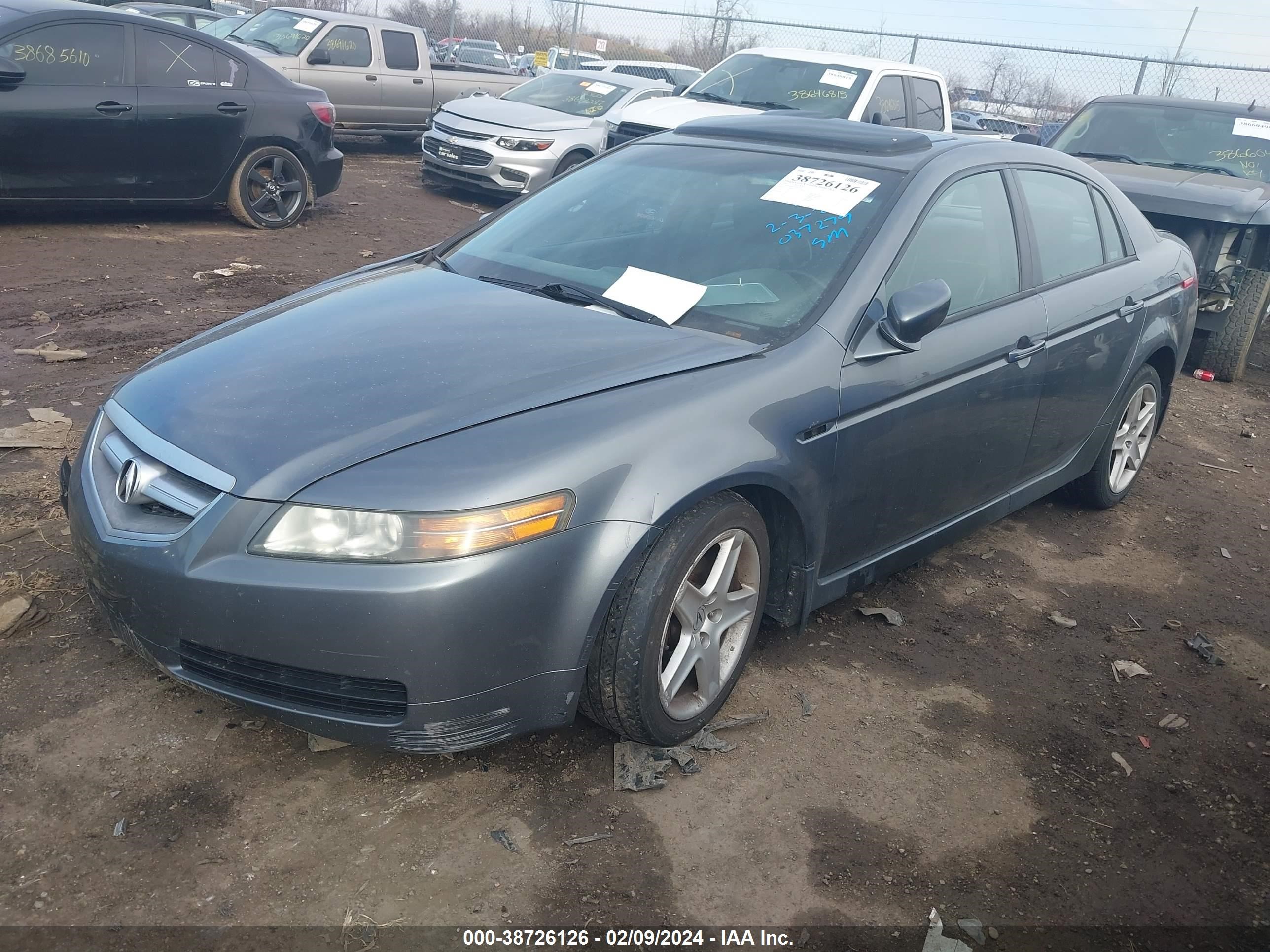 Photo 1 VIN: 19UUA66235A037279 - ACURA TL 