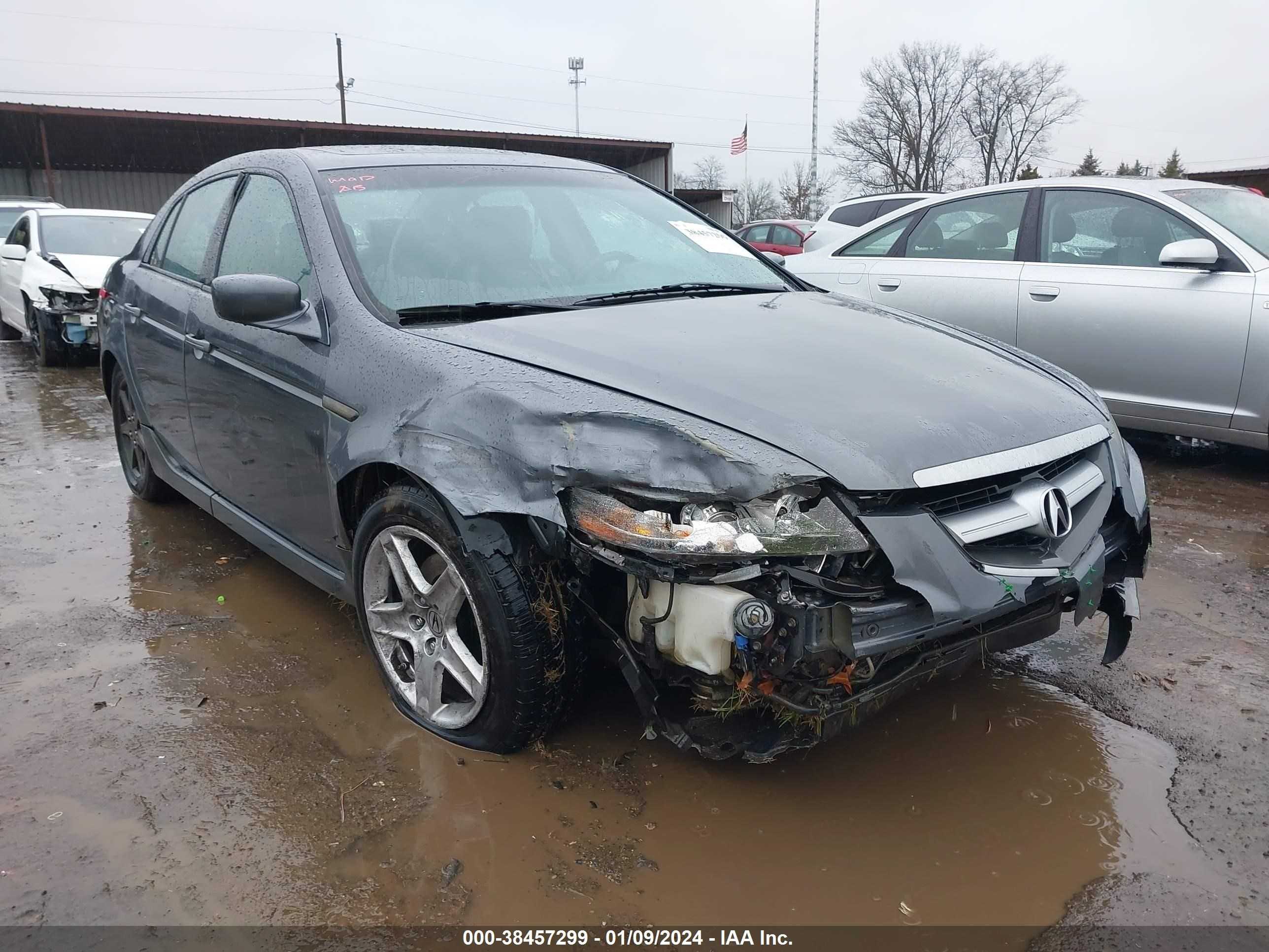 Photo 5 VIN: 19UUA66236A005207 - ACURA TL 