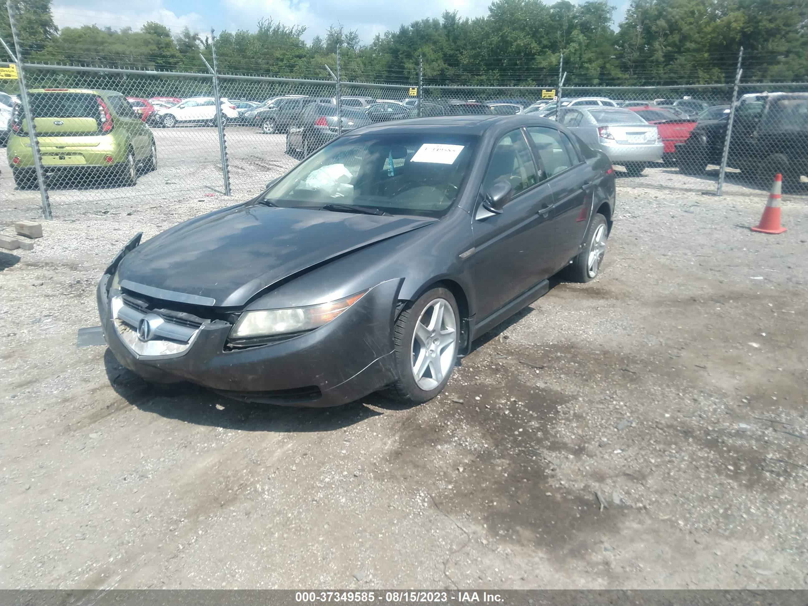 Photo 1 VIN: 19UUA66236A013775 - ACURA TL 