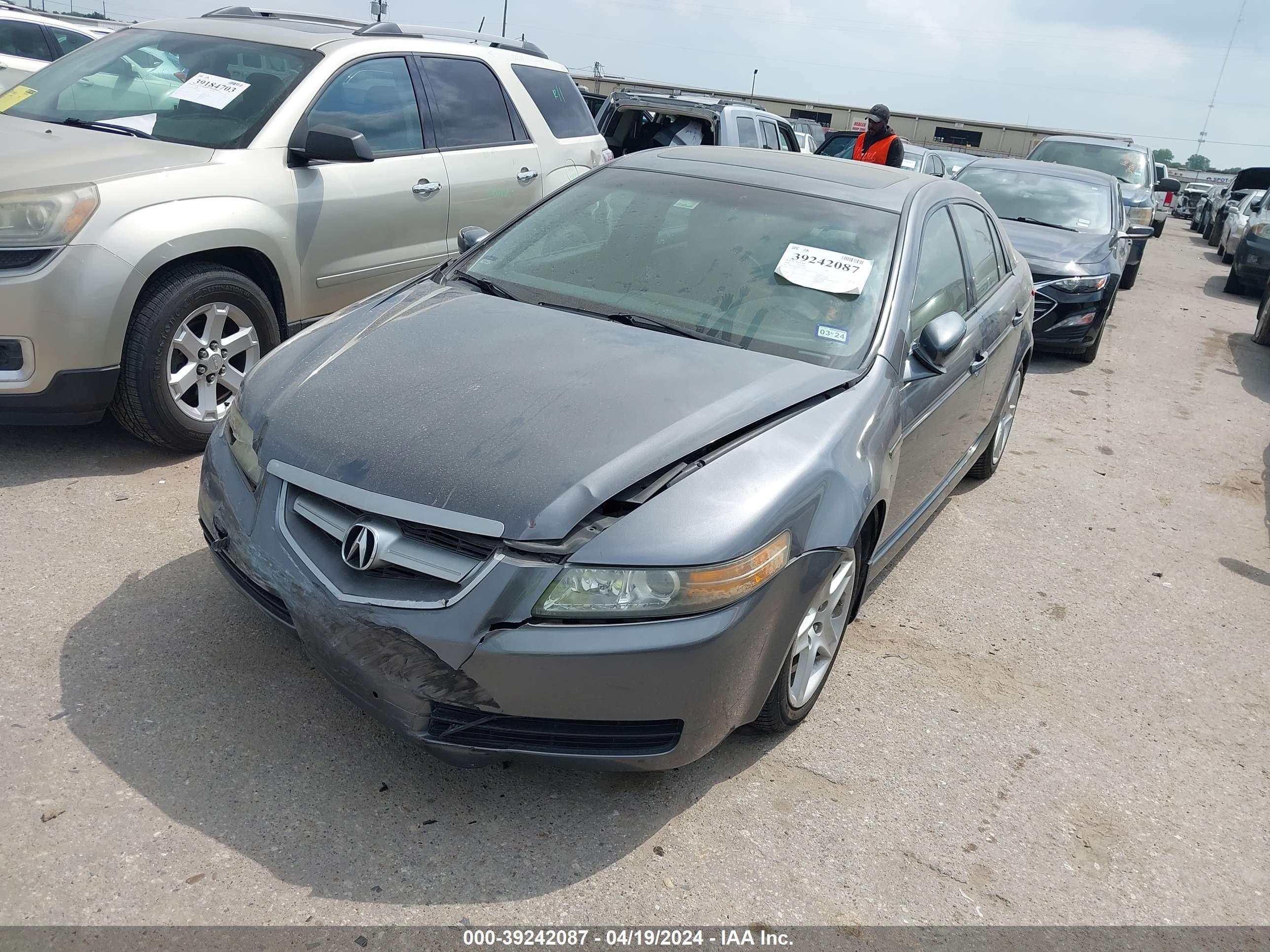 Photo 1 VIN: 19UUA66236A037669 - ACURA TL 