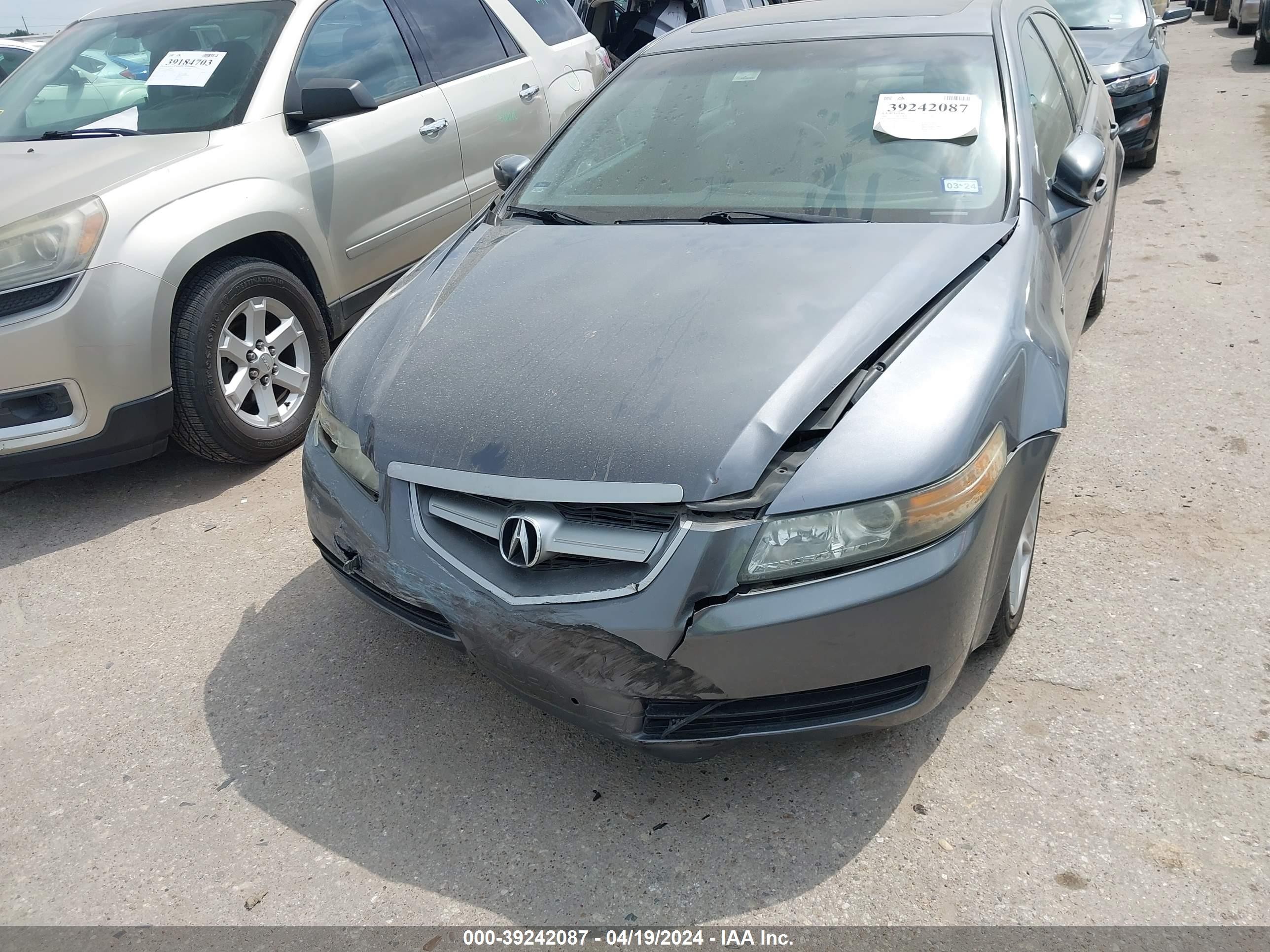 Photo 5 VIN: 19UUA66236A037669 - ACURA TL 