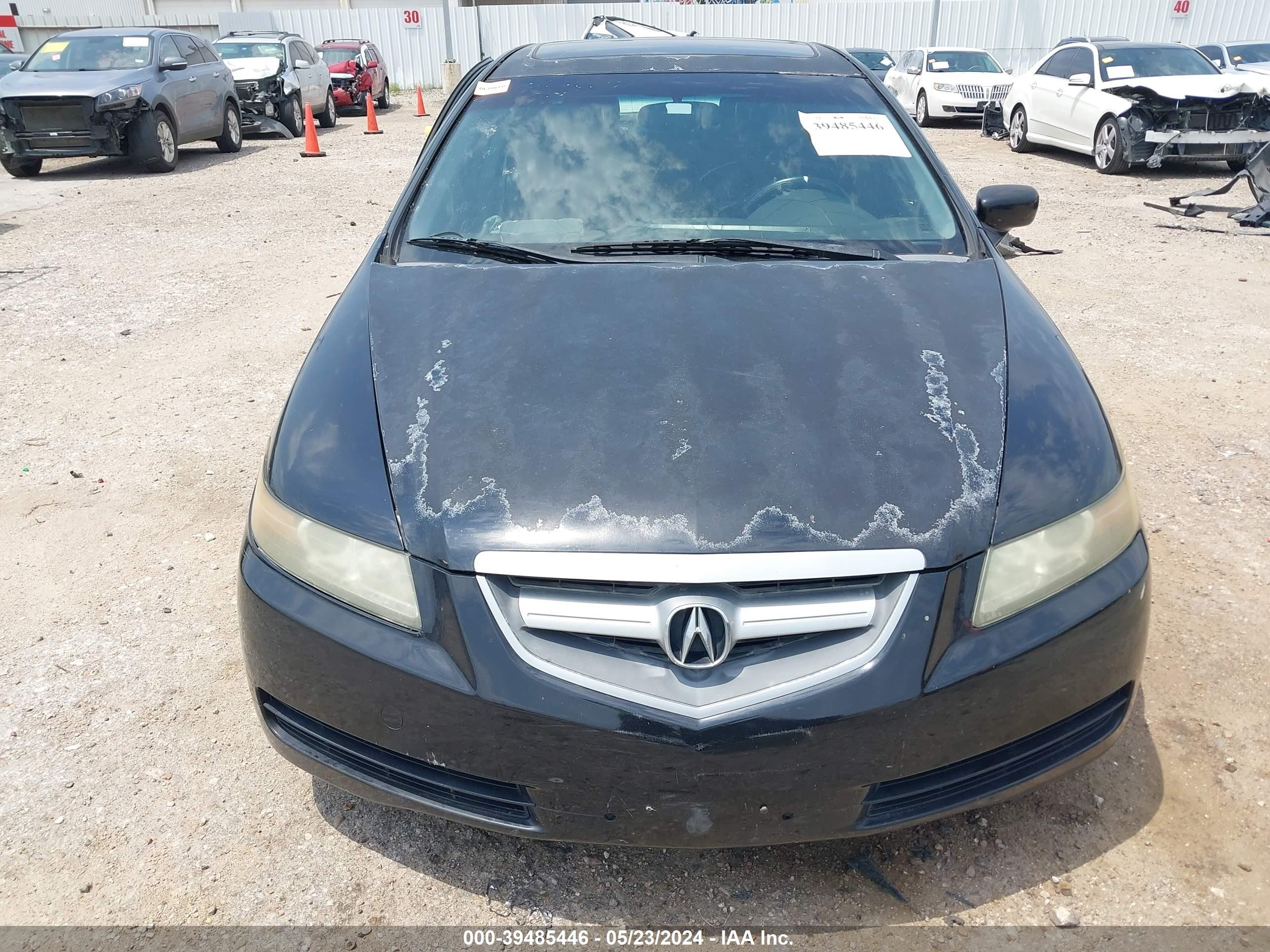 Photo 12 VIN: 19UUA66236A056447 - ACURA TL 