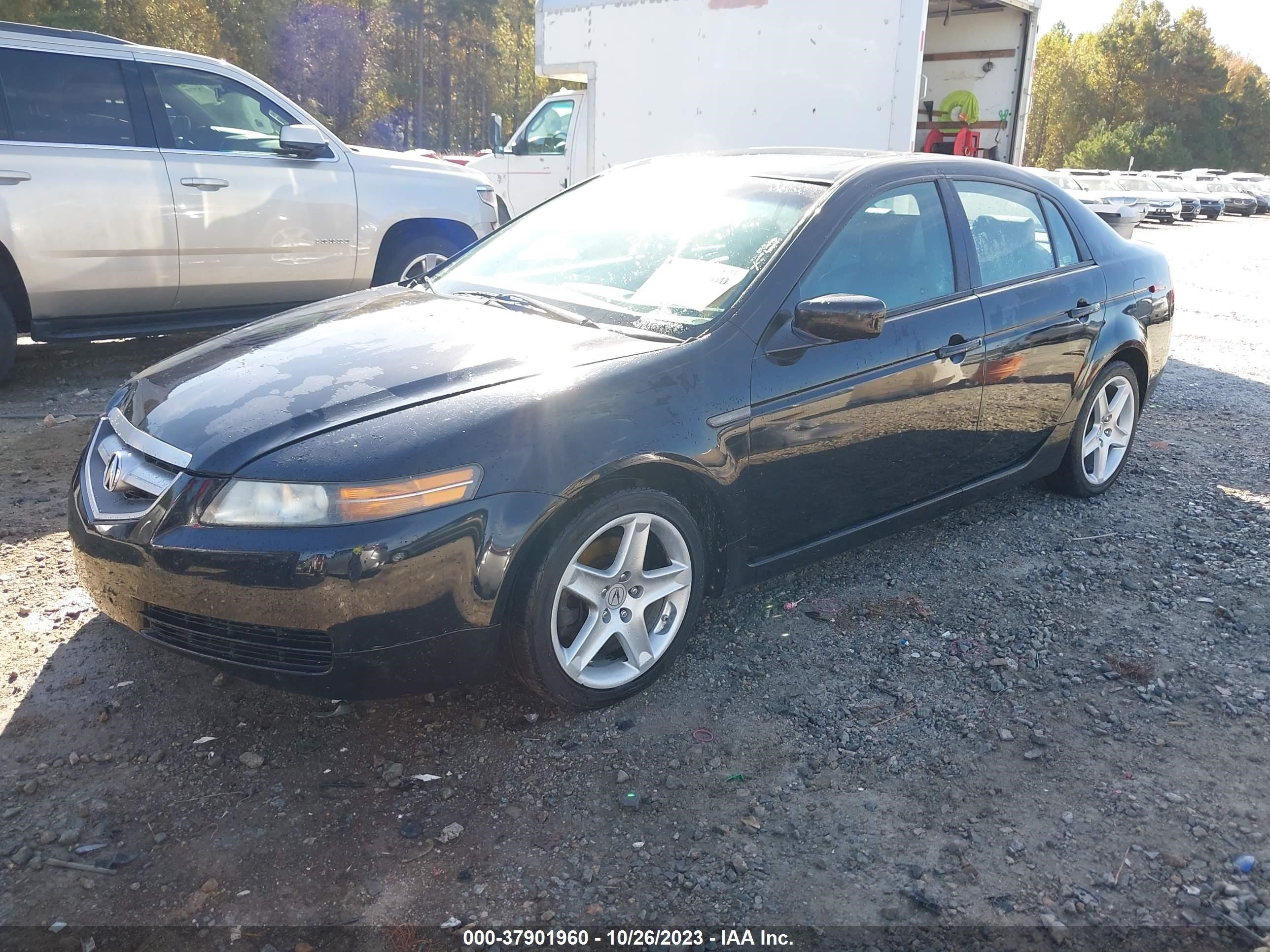 Photo 1 VIN: 19UUA66236A062863 - ACURA TL 