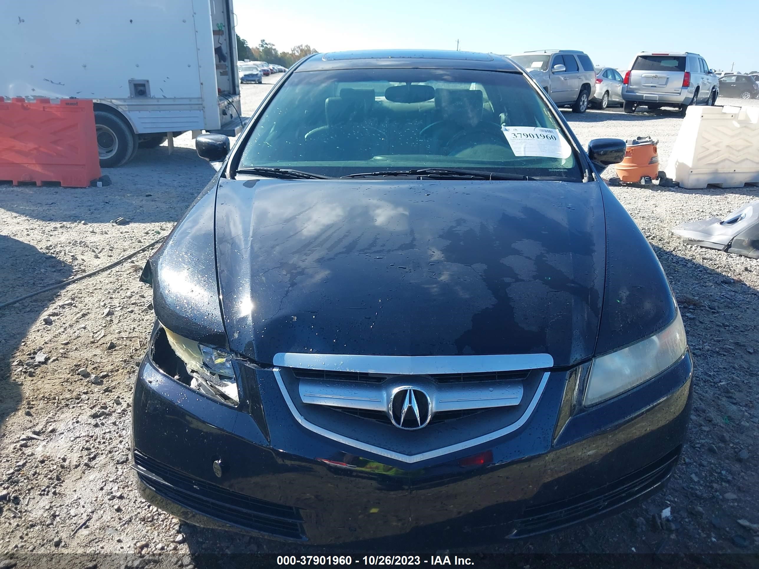 Photo 11 VIN: 19UUA66236A062863 - ACURA TL 