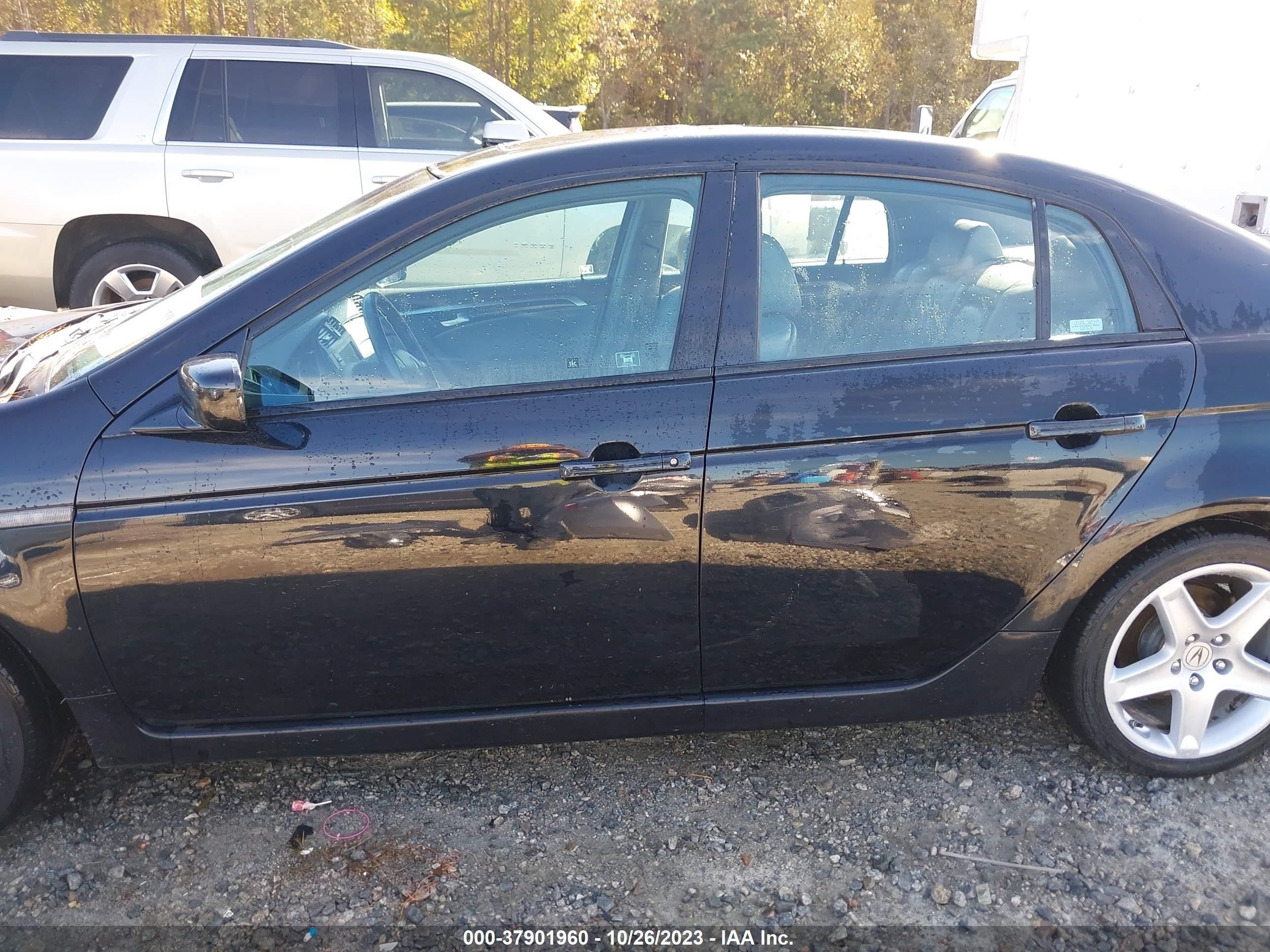 Photo 13 VIN: 19UUA66236A062863 - ACURA TL 