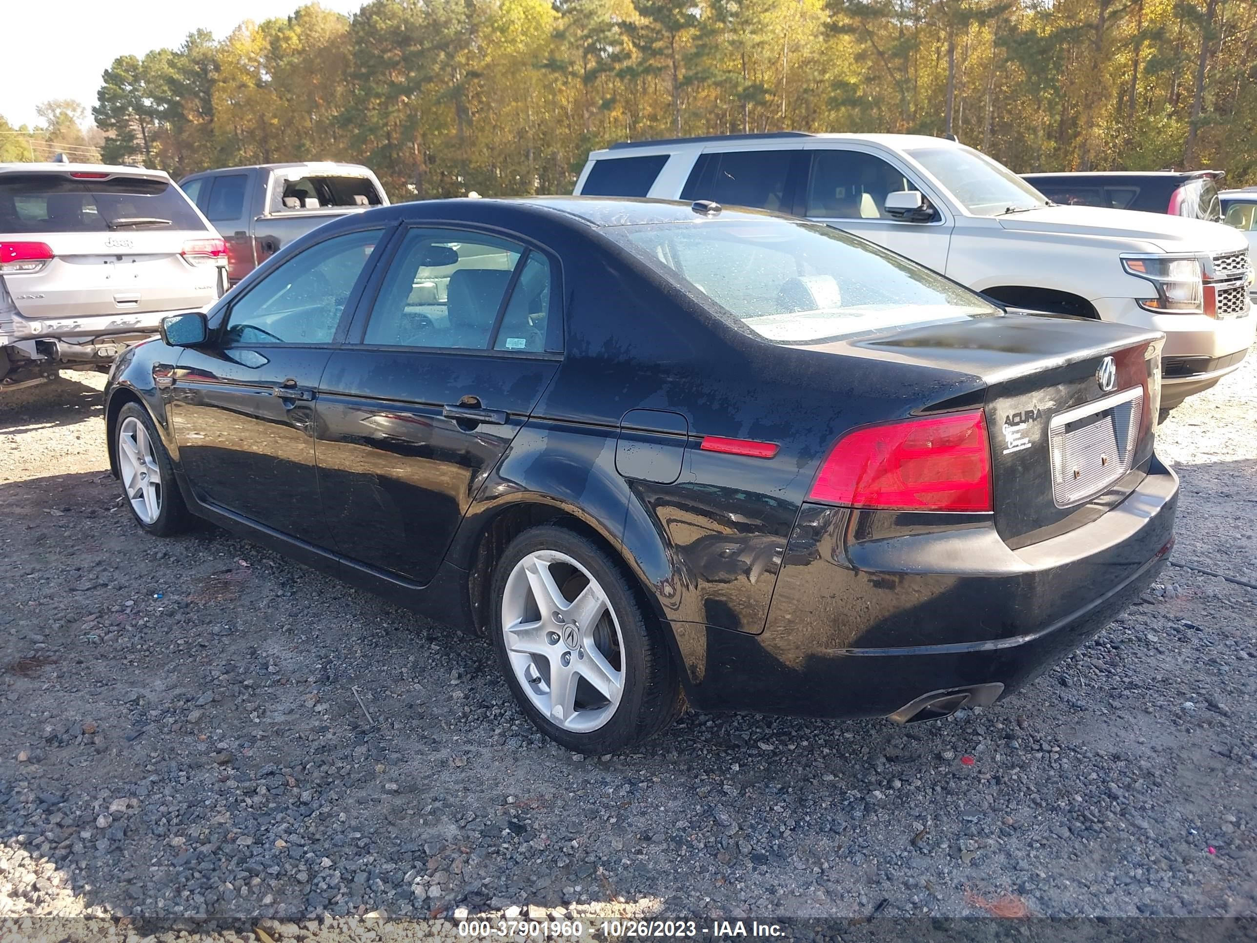 Photo 2 VIN: 19UUA66236A062863 - ACURA TL 