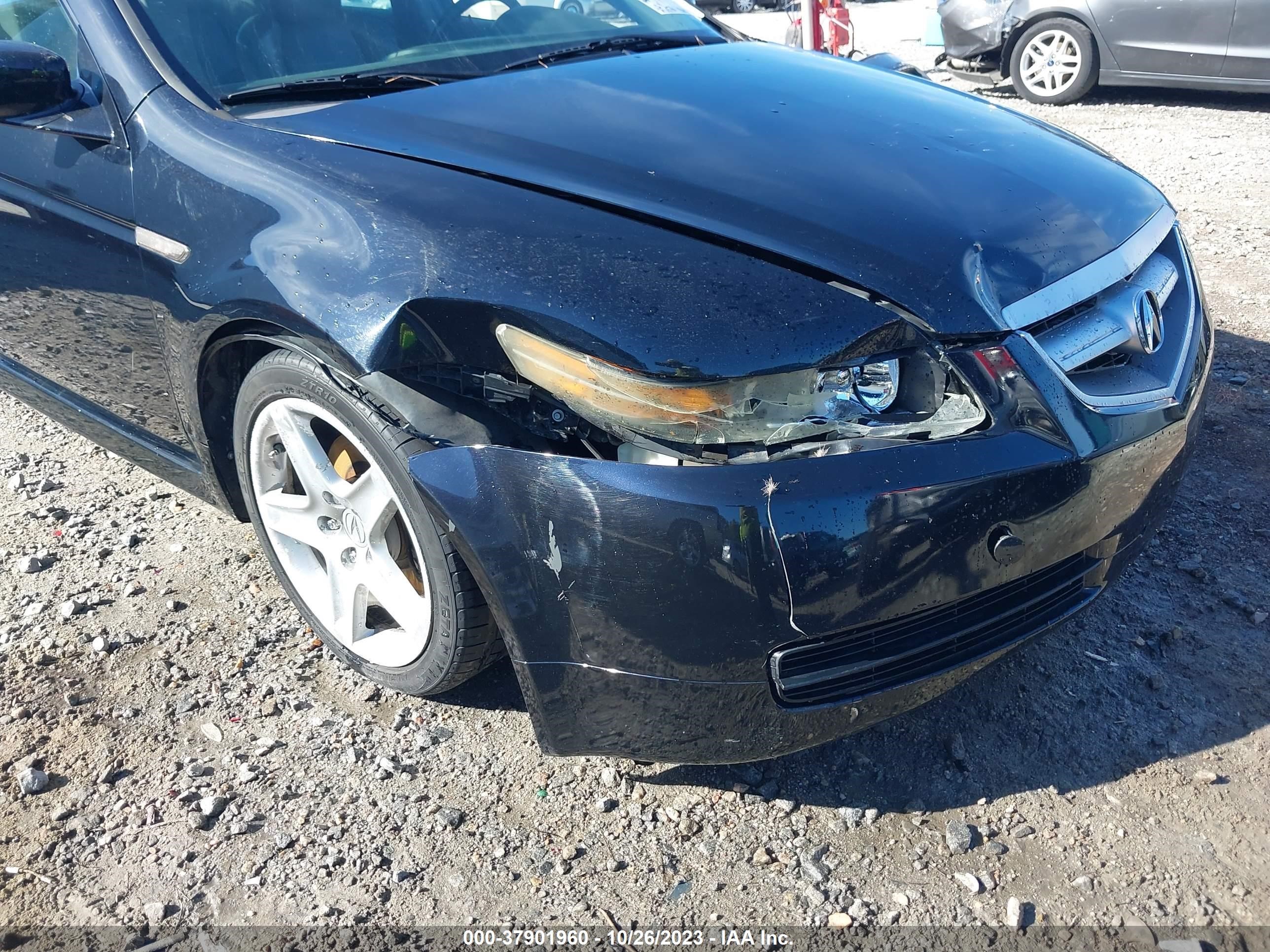 Photo 5 VIN: 19UUA66236A062863 - ACURA TL 