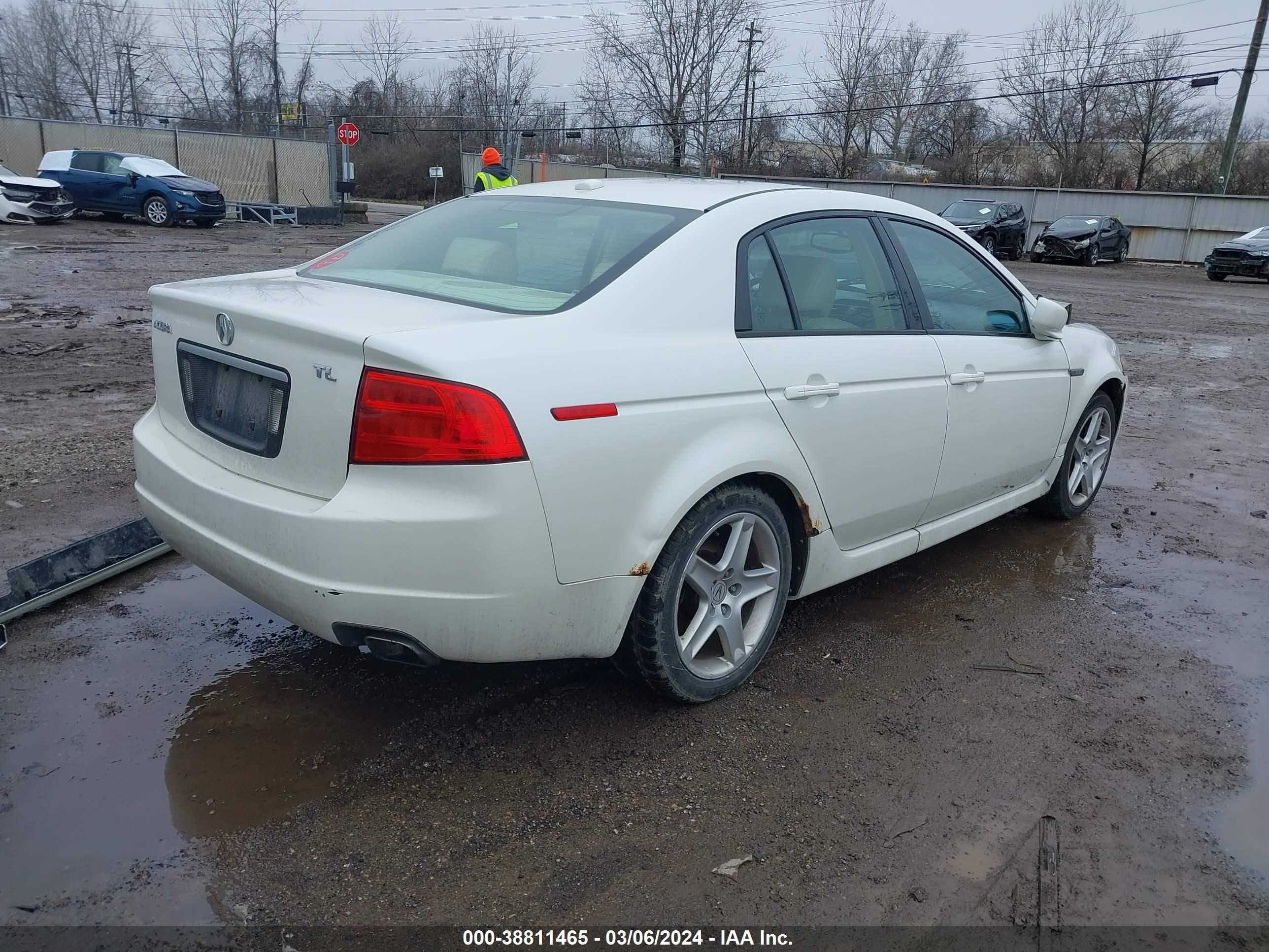 Photo 3 VIN: 19UUA66236A069425 - ACURA TL 