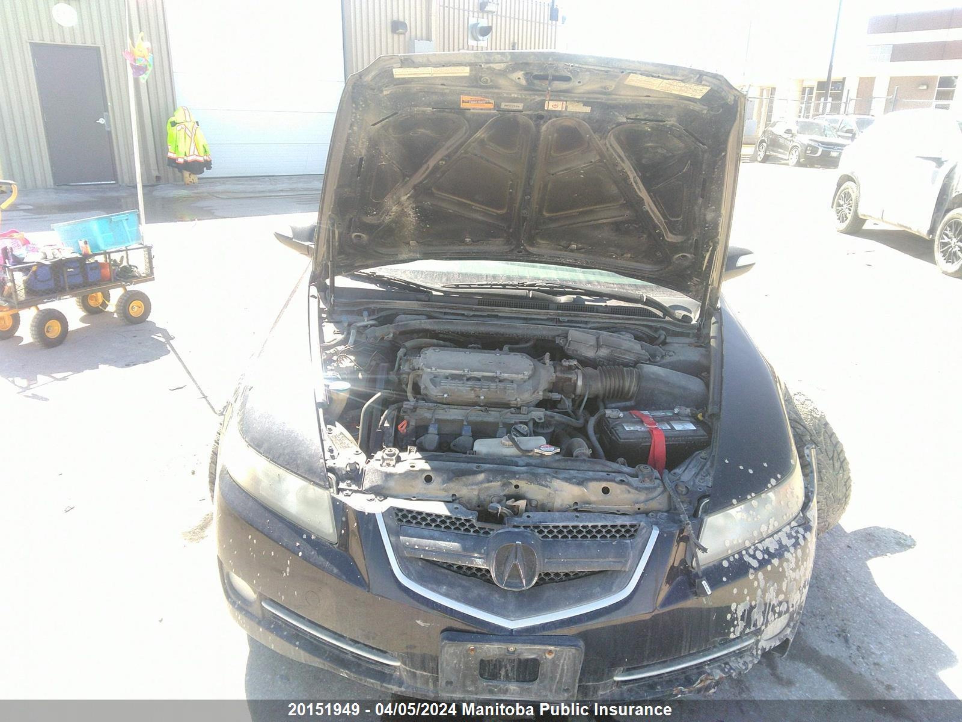 Photo 9 VIN: 19UUA66238A804259 - ACURA TL 