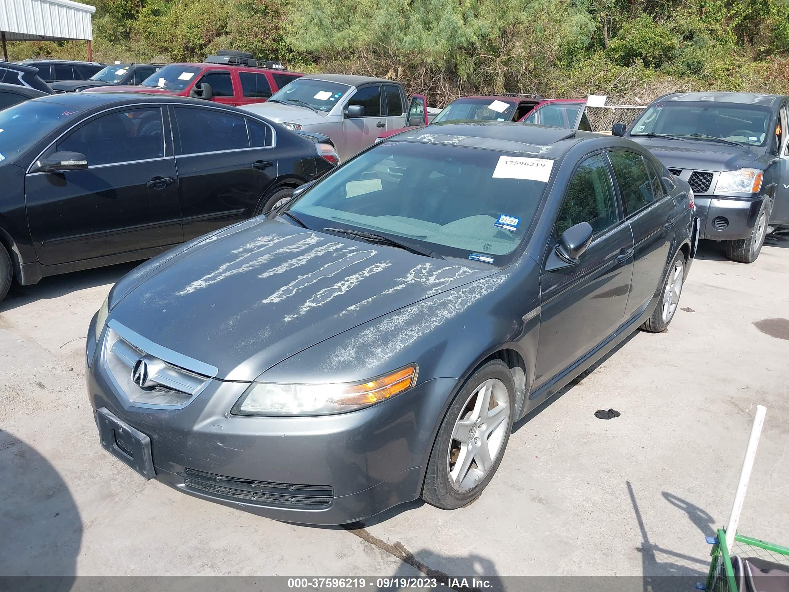 Photo 1 VIN: 19UUA66244A008940 - ACURA TL 