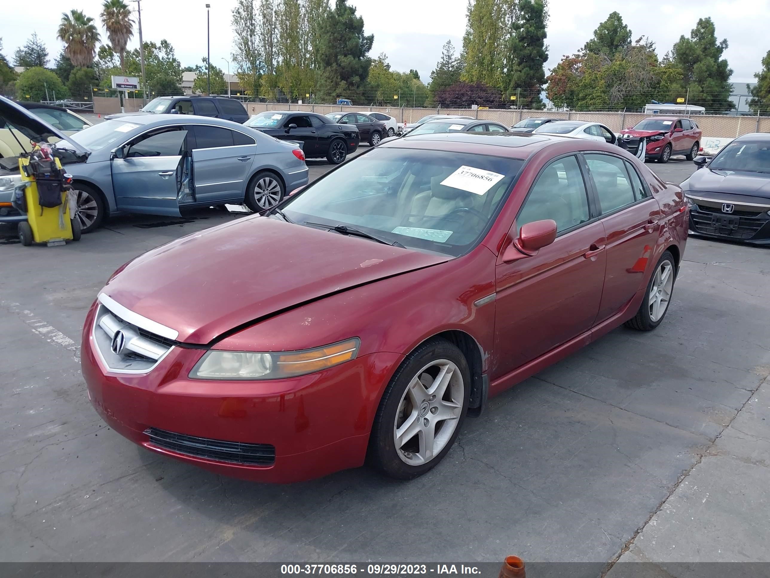 Photo 1 VIN: 19UUA66246A003255 - ACURA TL 