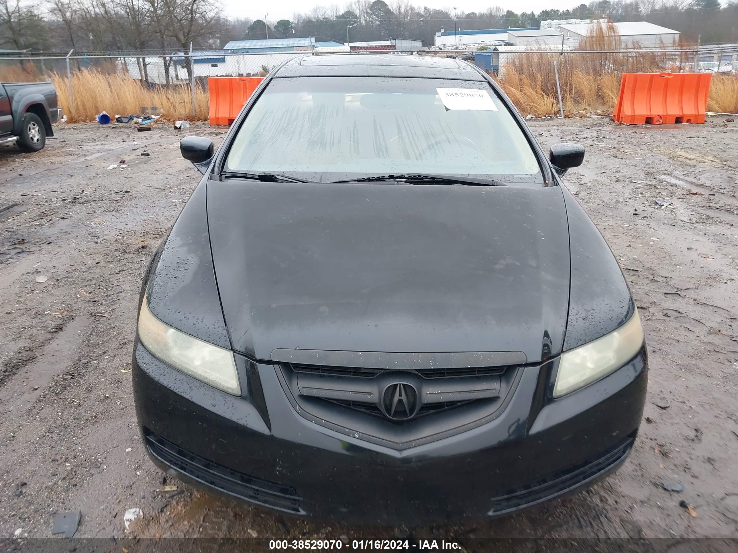 Photo 11 VIN: 19UUA66246A011212 - ACURA TL 