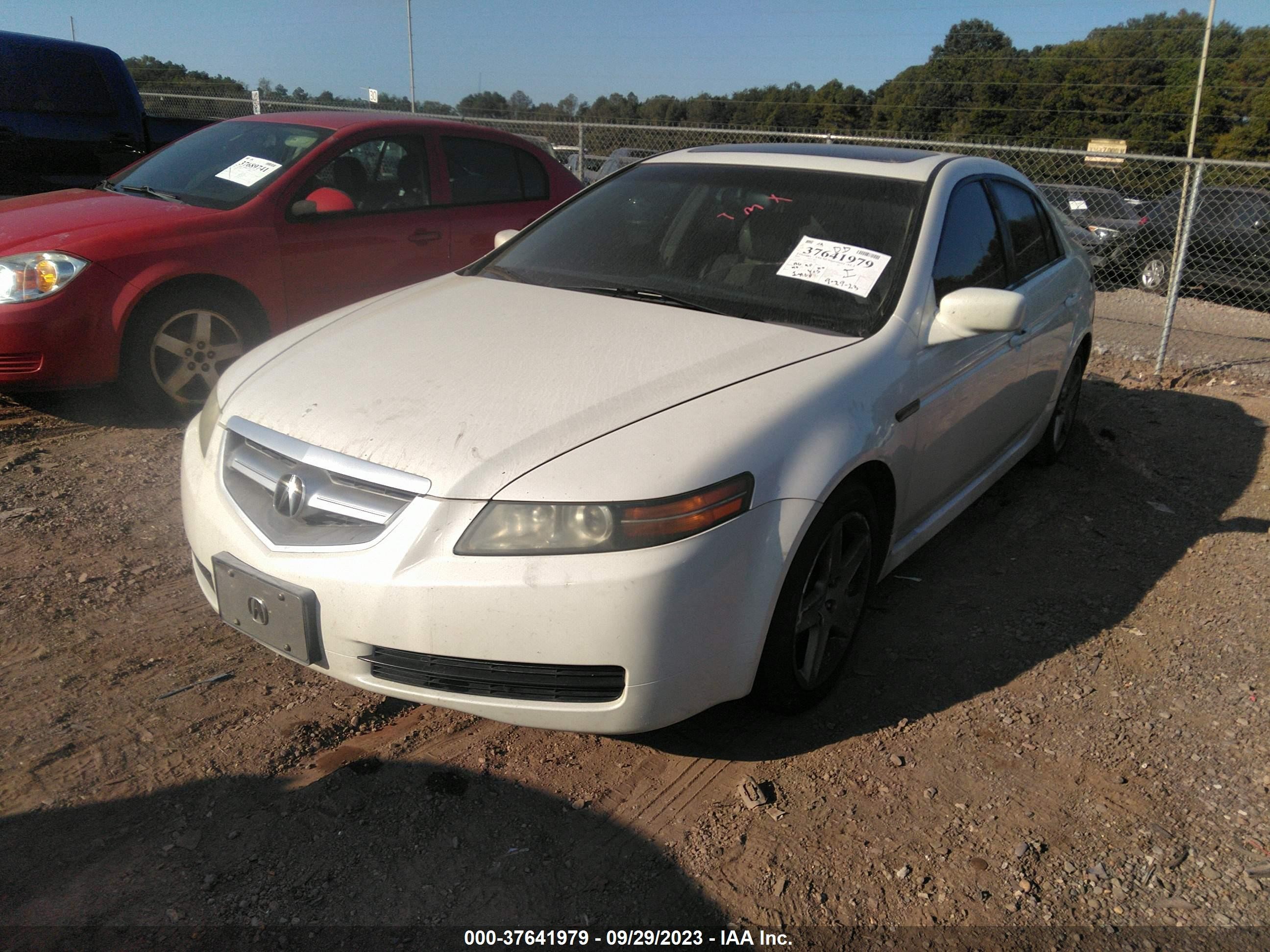 Photo 1 VIN: 19UUA66246A067182 - ACURA TL 