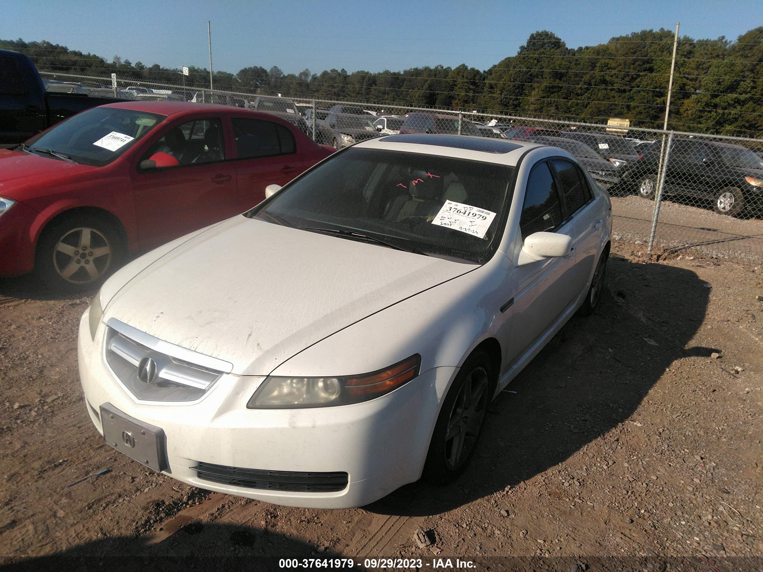 Photo 5 VIN: 19UUA66246A067182 - ACURA TL 