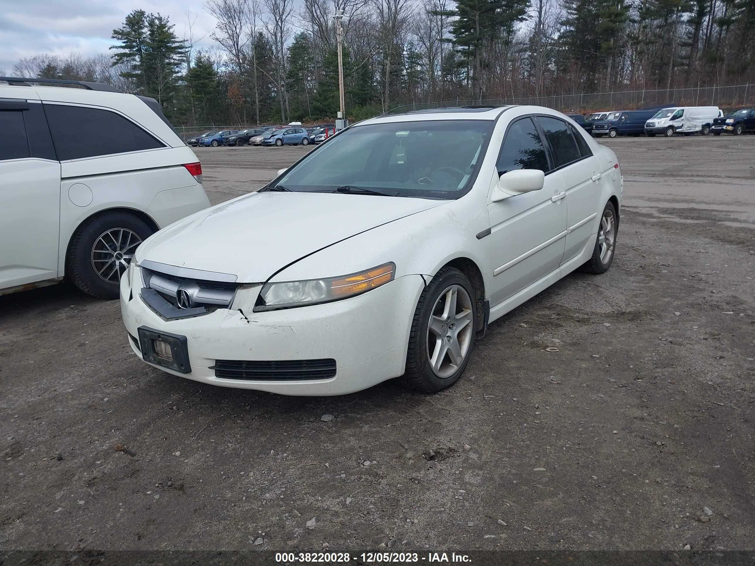 Photo 1 VIN: 19UUA66246A077162 - ACURA TL 