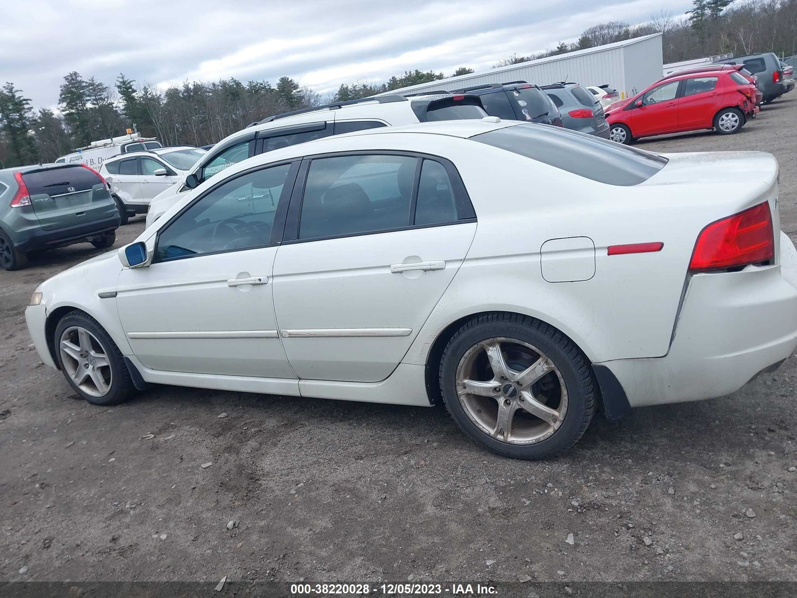 Photo 14 VIN: 19UUA66246A077162 - ACURA TL 