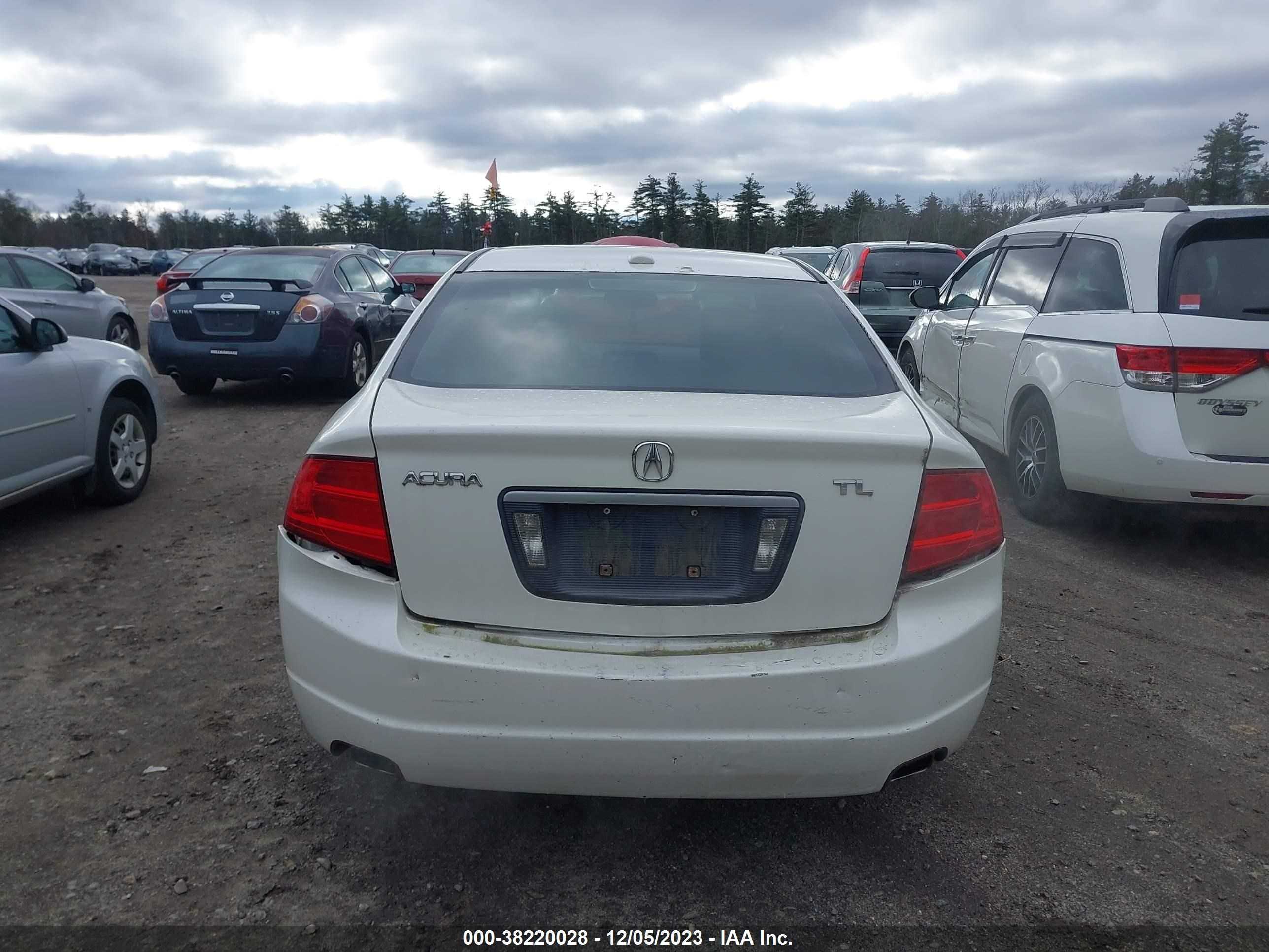 Photo 16 VIN: 19UUA66246A077162 - ACURA TL 