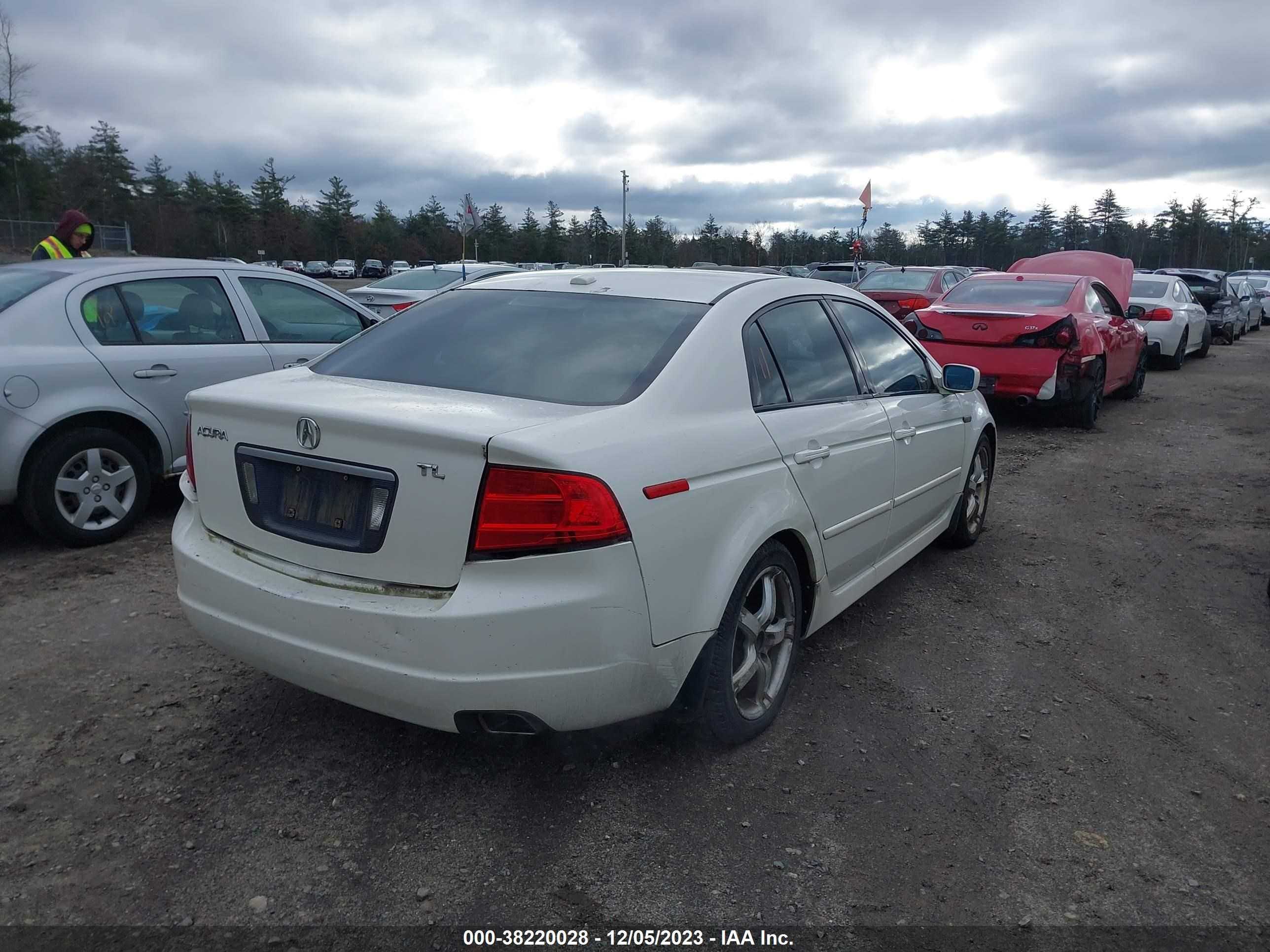 Photo 3 VIN: 19UUA66246A077162 - ACURA TL 