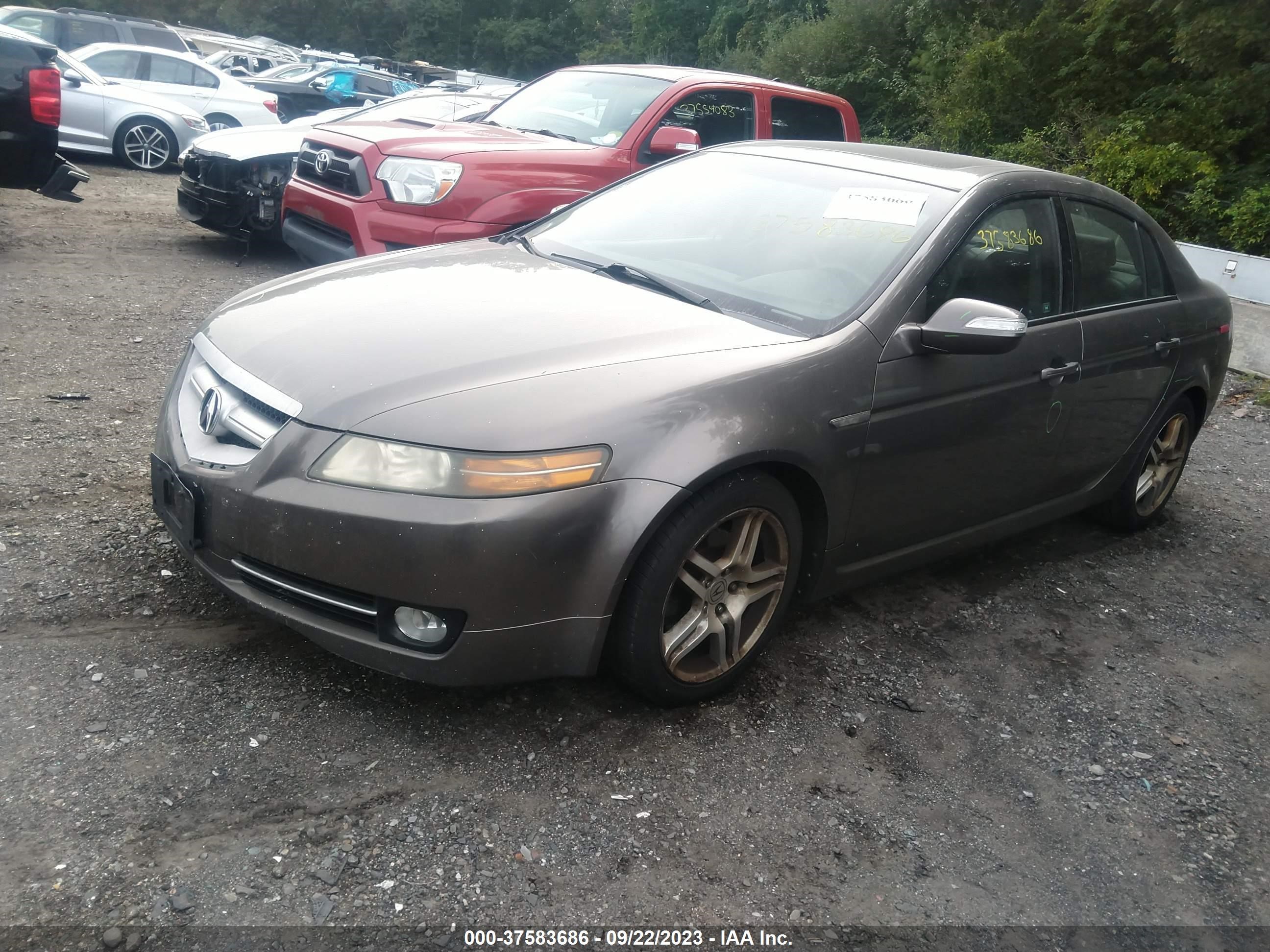 Photo 1 VIN: 19UUA66247A023586 - ACURA TL 