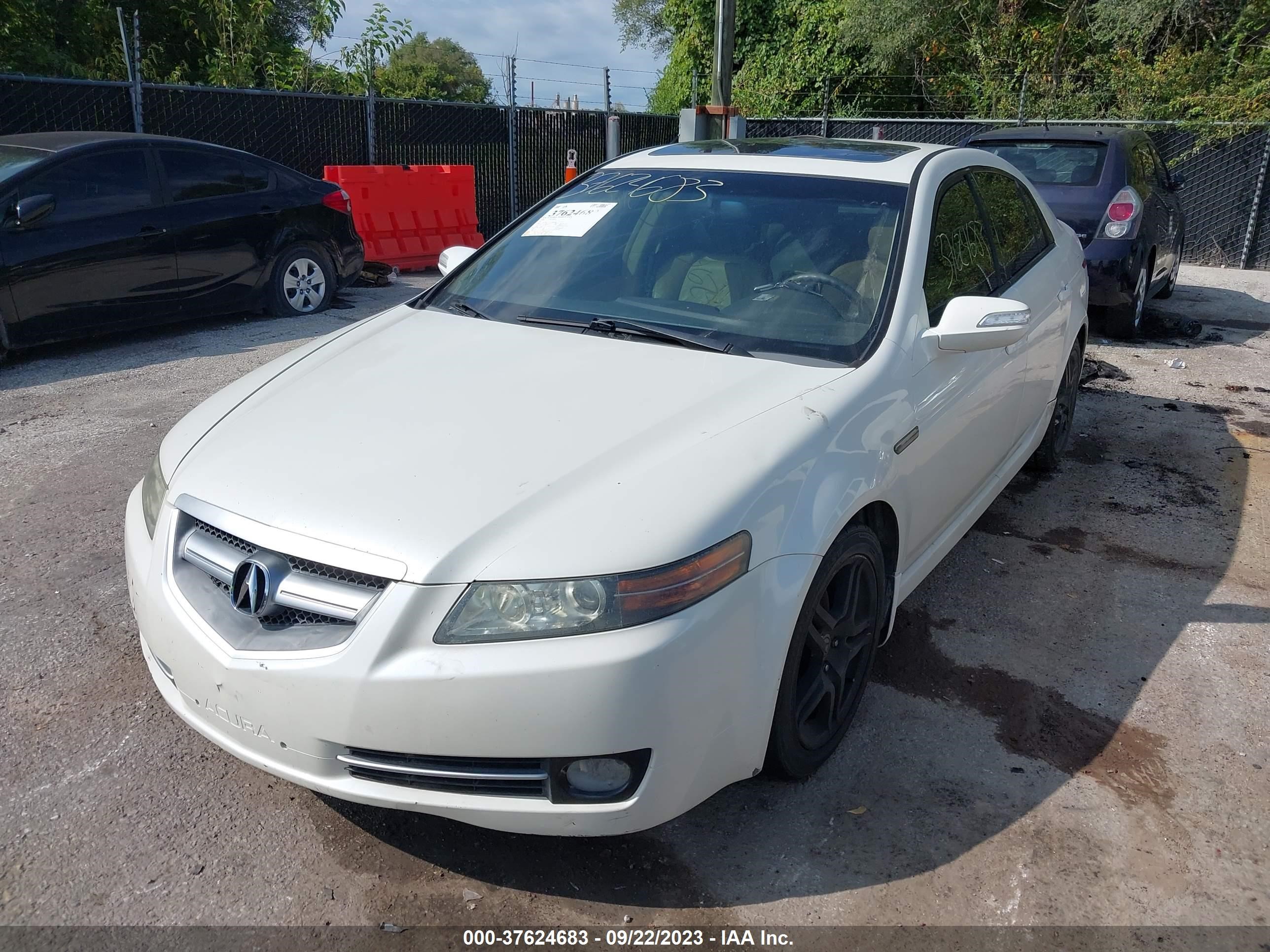 Photo 1 VIN: 19UUA66248A019703 - ACURA TL 