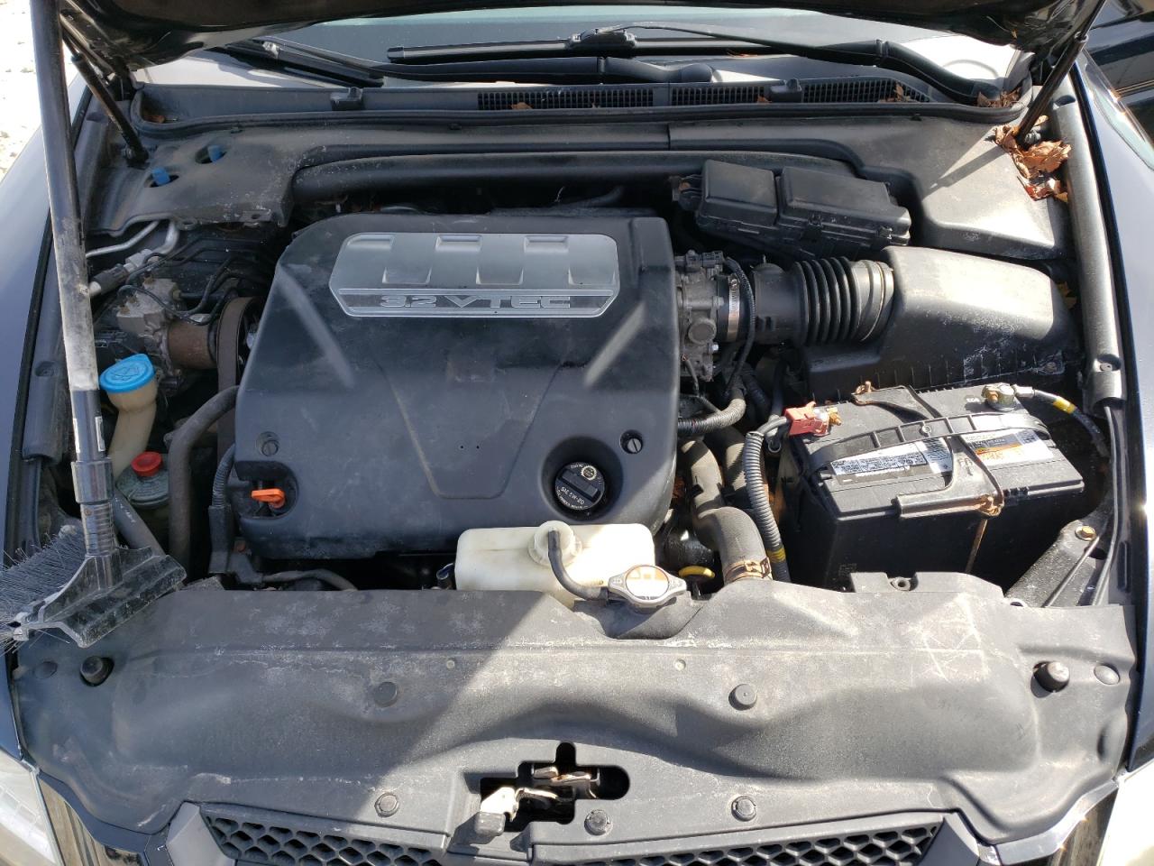 Photo 10 VIN: 19UUA66248A028191 - ACURA TL 