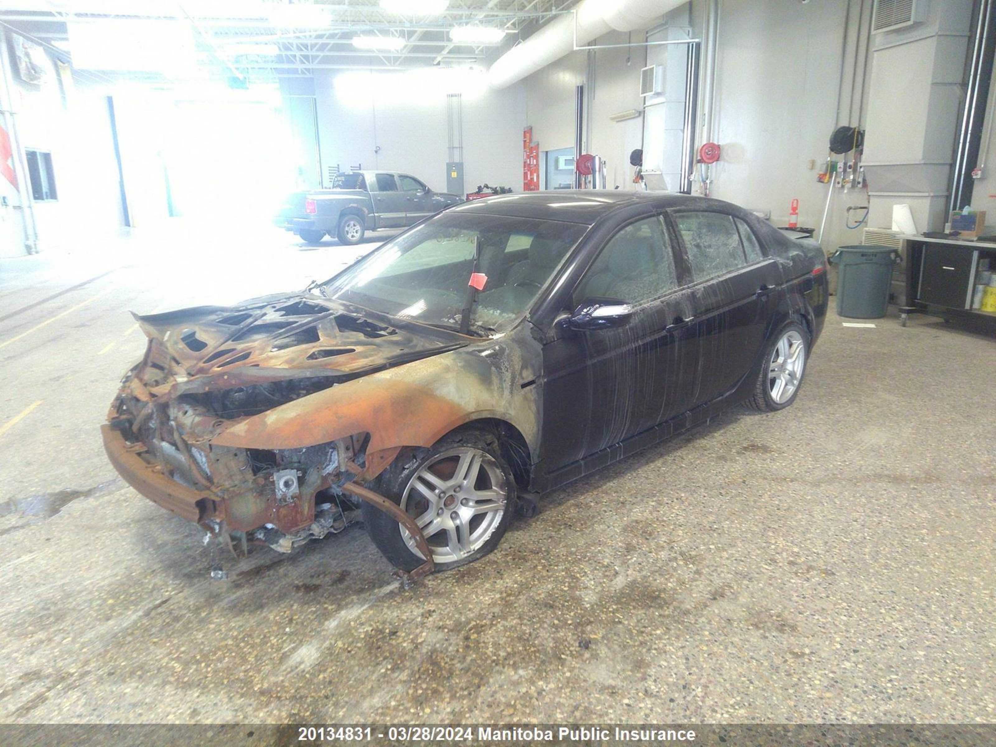 Photo 1 VIN: 19UUA66248A028210 - ACURA TL 