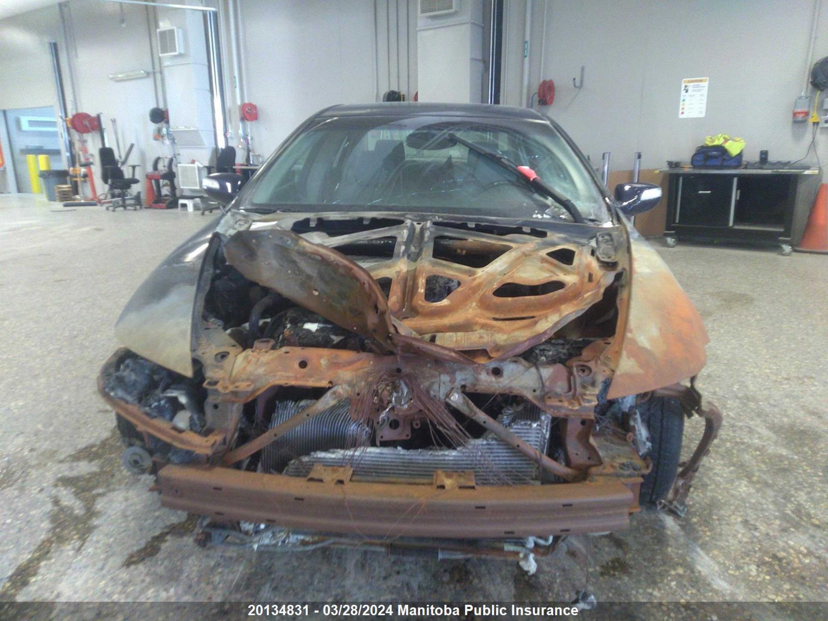 Photo 10 VIN: 19UUA66248A028210 - ACURA TL 