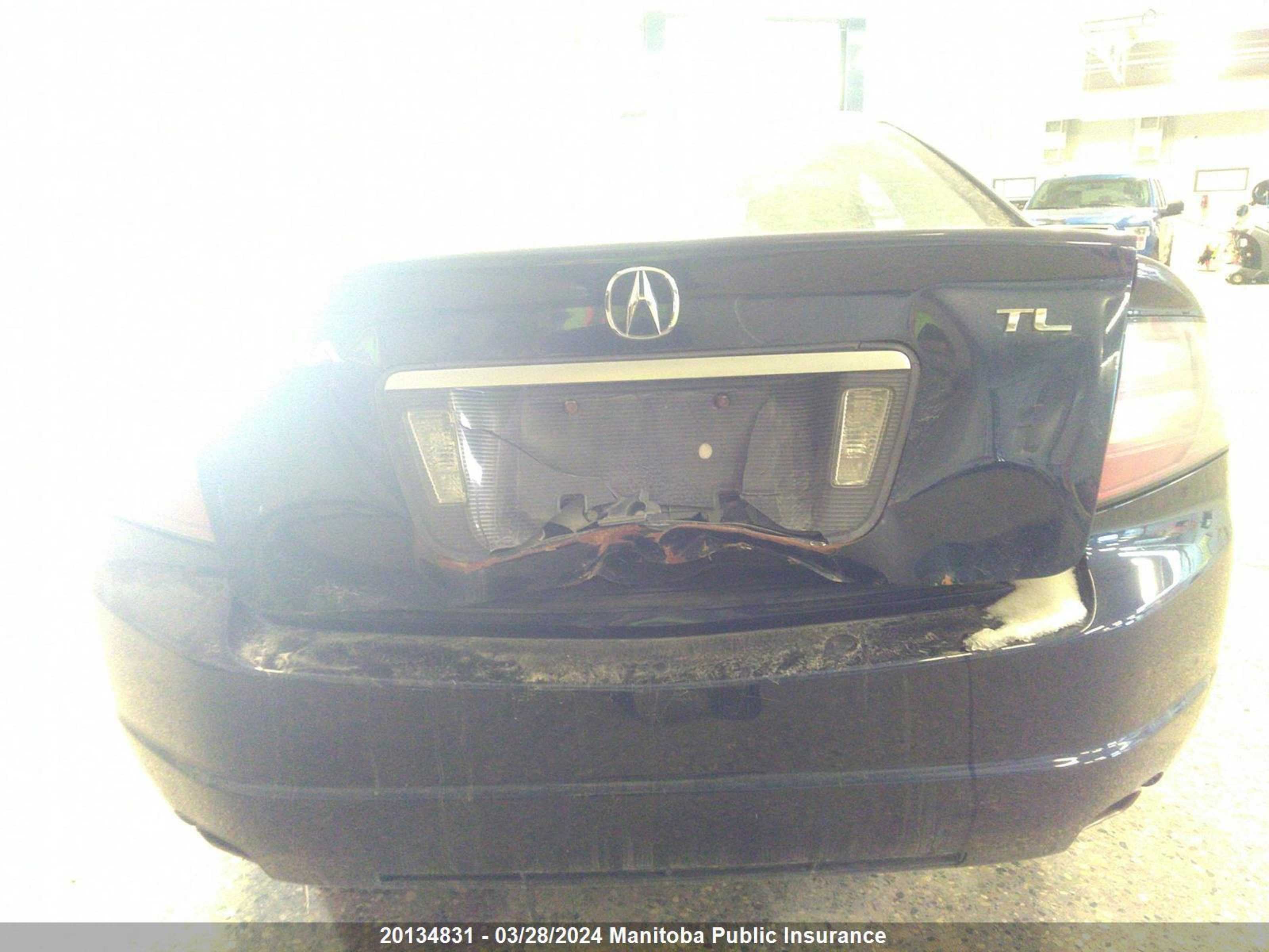 Photo 11 VIN: 19UUA66248A028210 - ACURA TL 