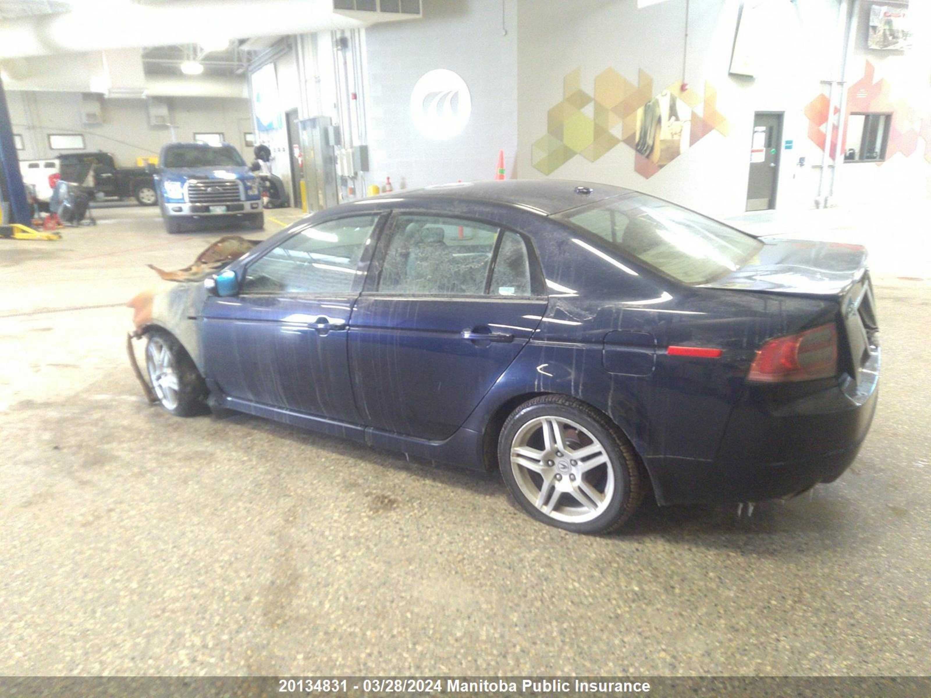 Photo 2 VIN: 19UUA66248A028210 - ACURA TL 