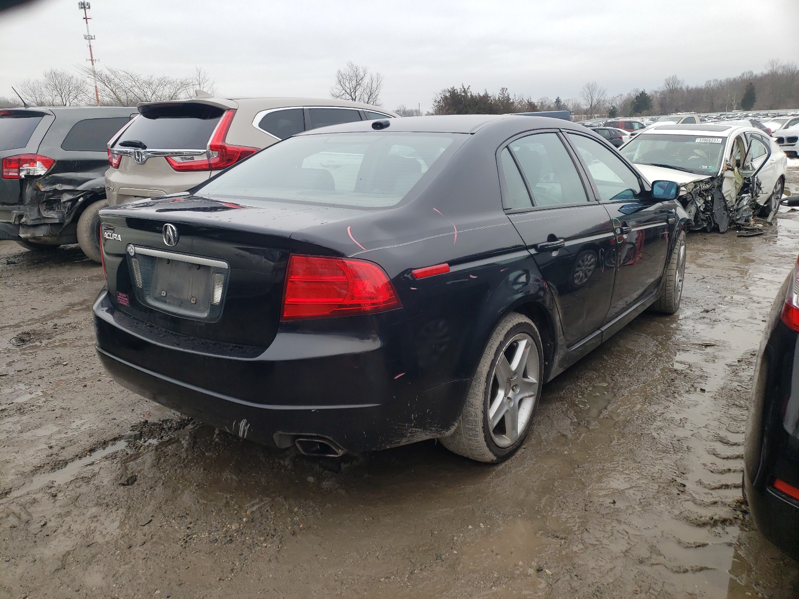 Photo 3 VIN: 19UUA66254A026718 - ACURA TL 